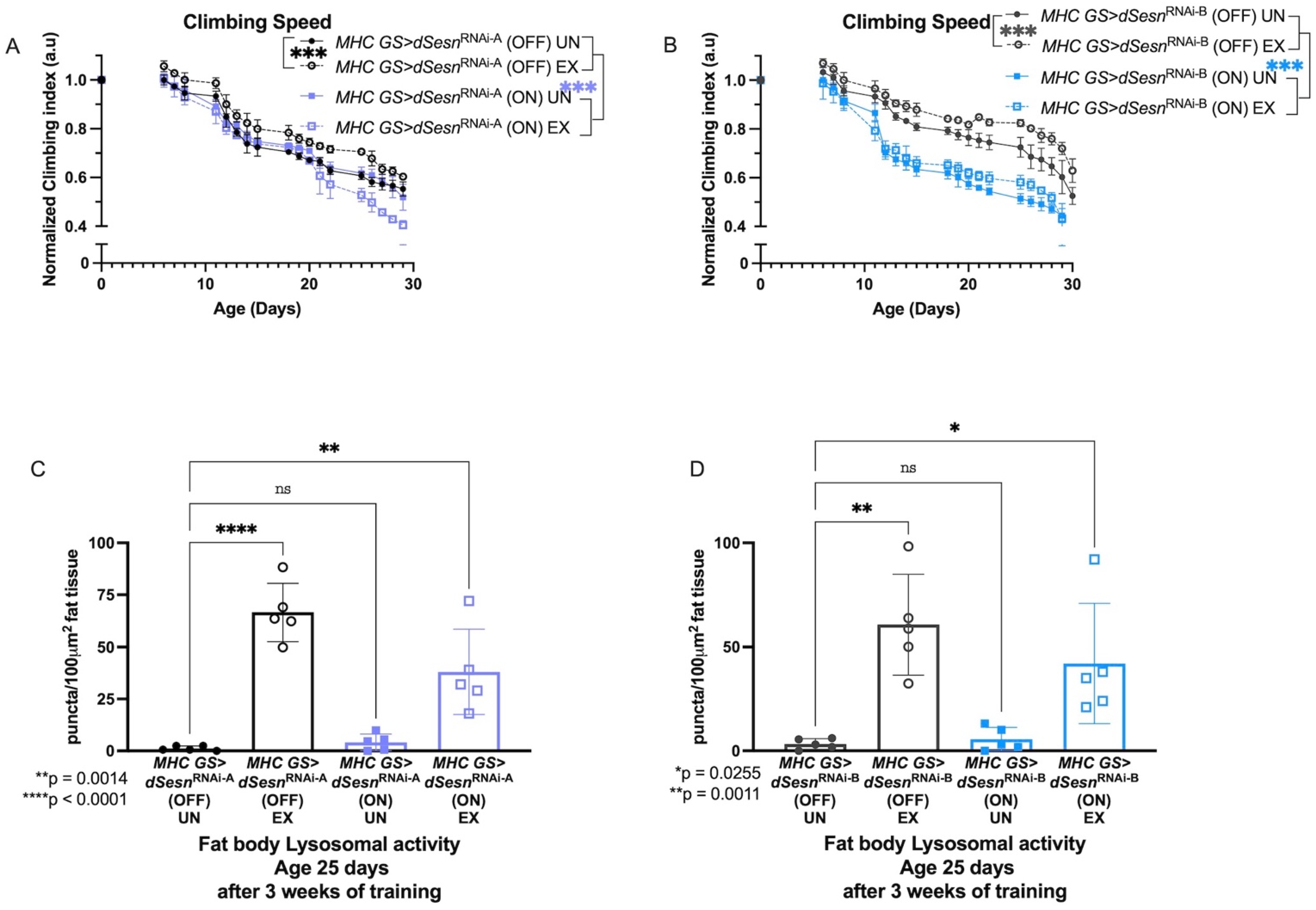 Cells 10 02479 g002 550