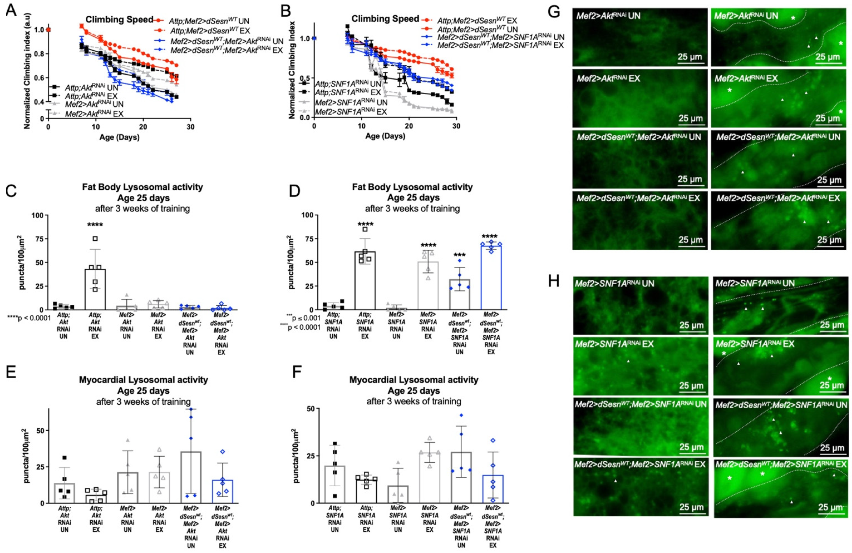 Cells 10 02479 g004 550