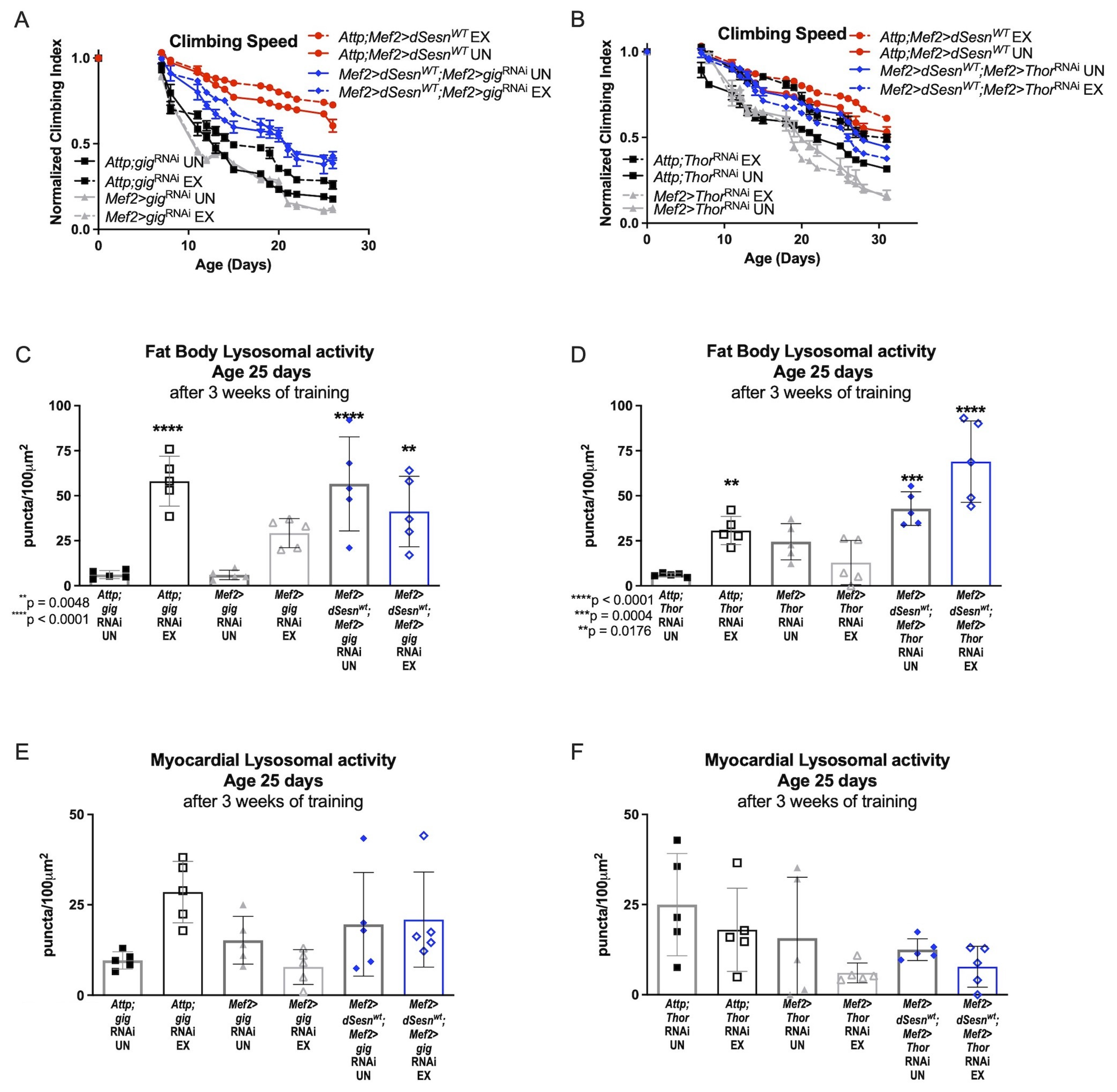Cells 10 02479 g005 550