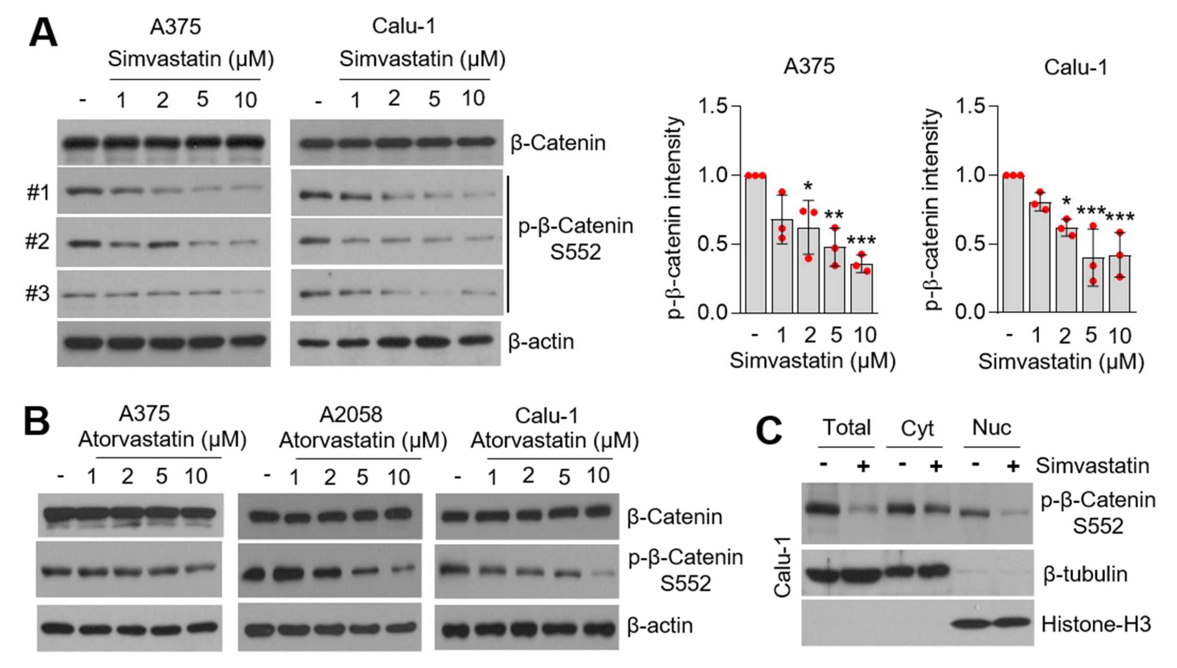 Cells 10 02488 g005 Cells 10 02488 g005