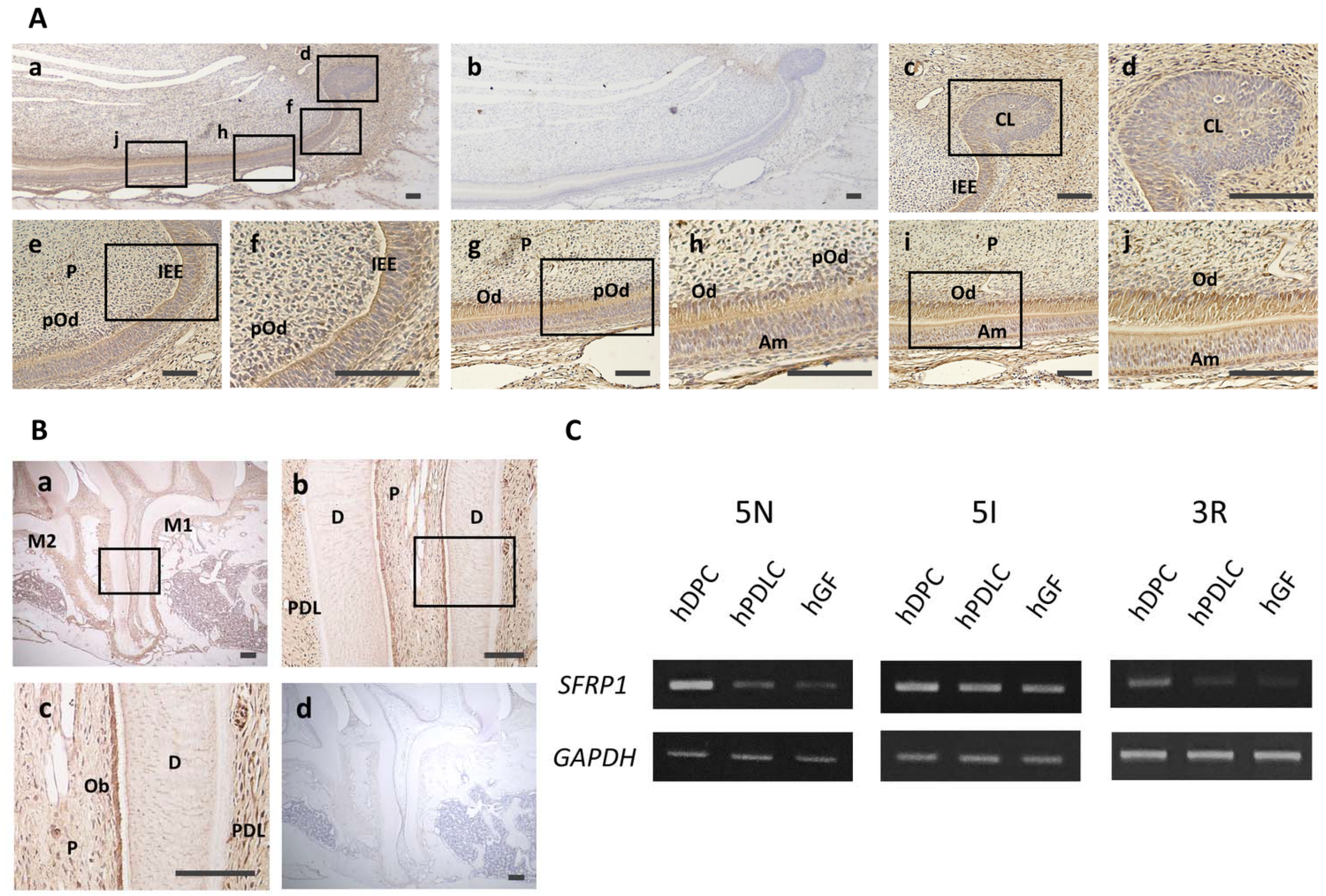 Cells 10 02491 g001 550