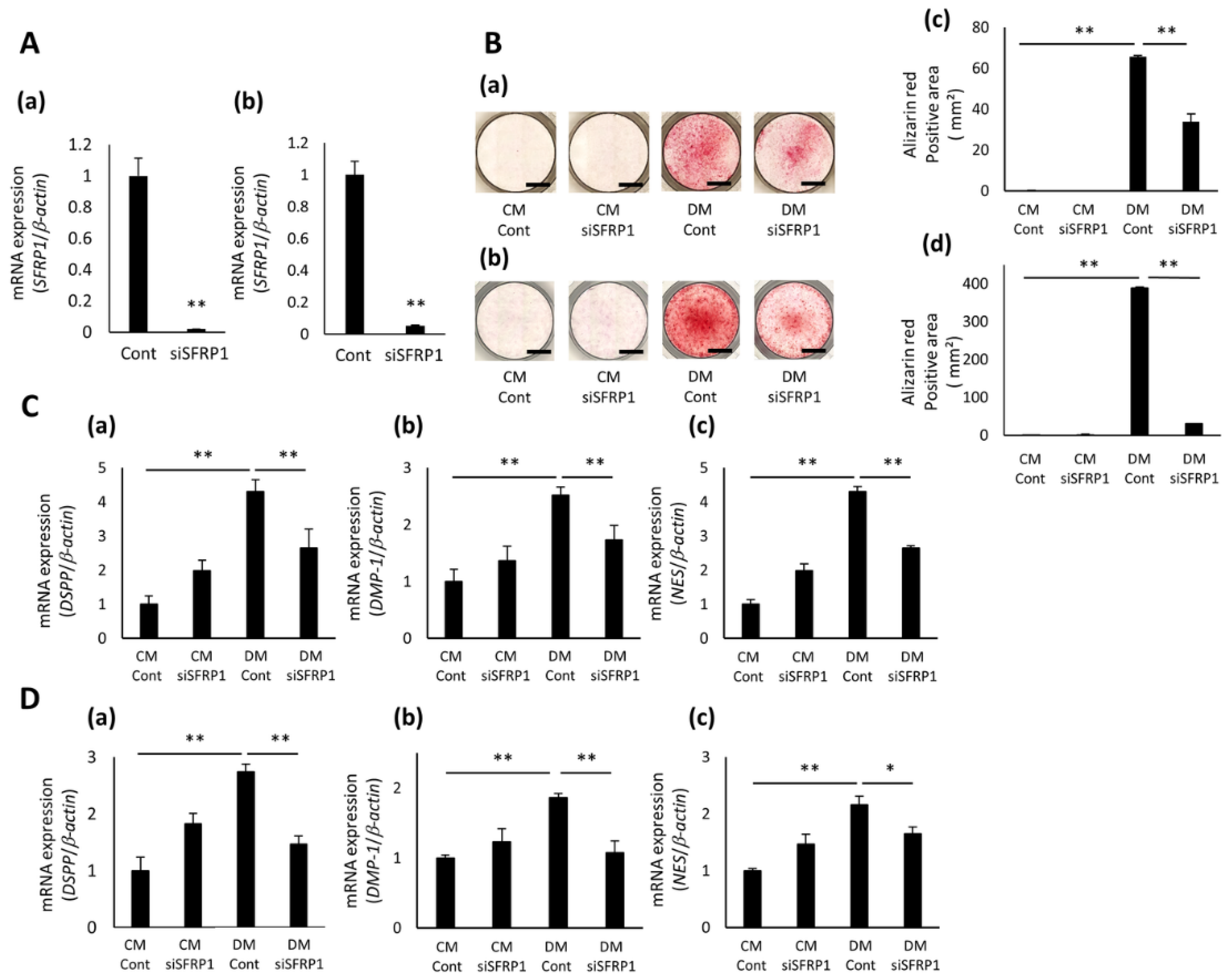 Cells 10 02491 g003 550