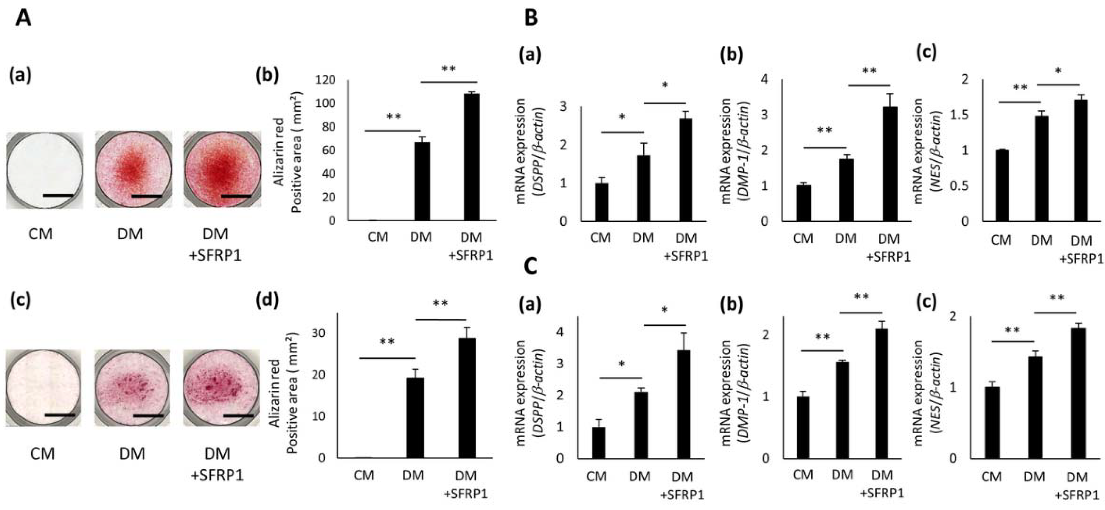 Cells 10 02491 g004 550