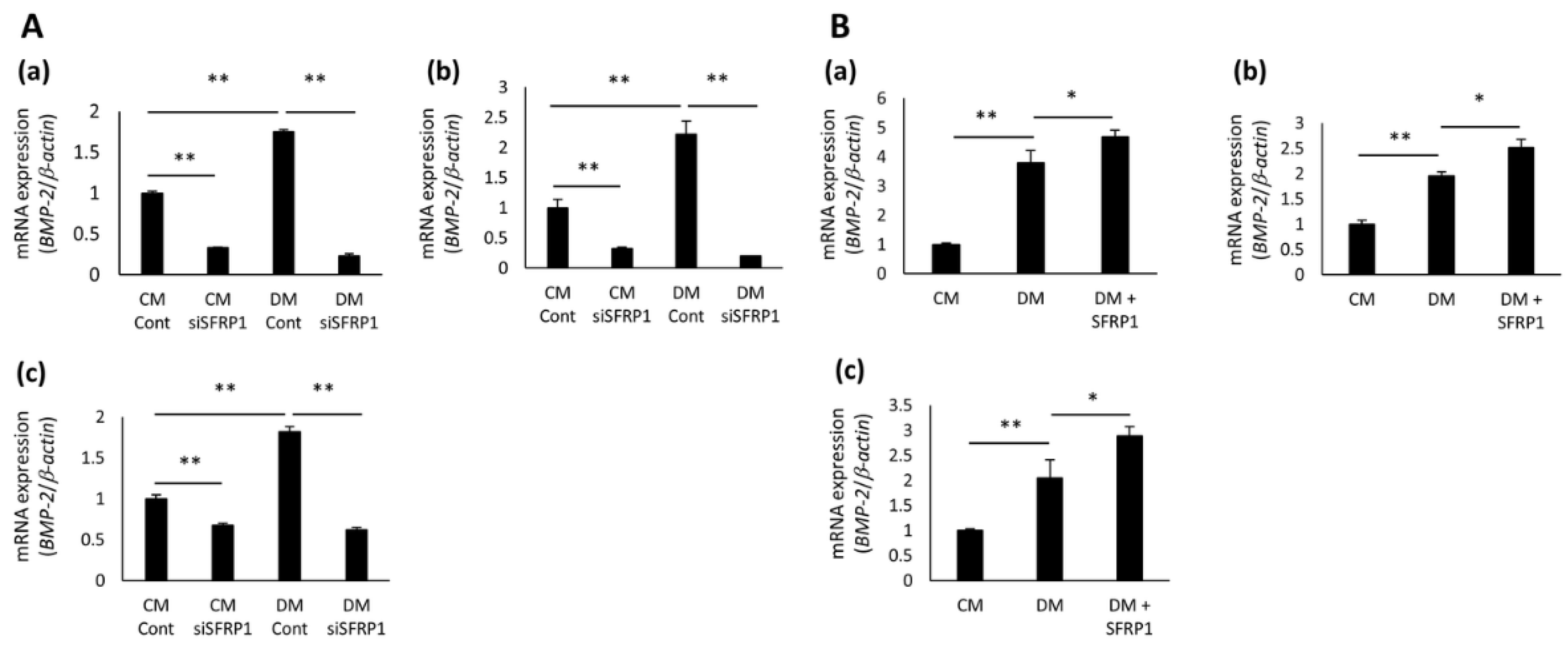 Cells 10 02491 g005 550
