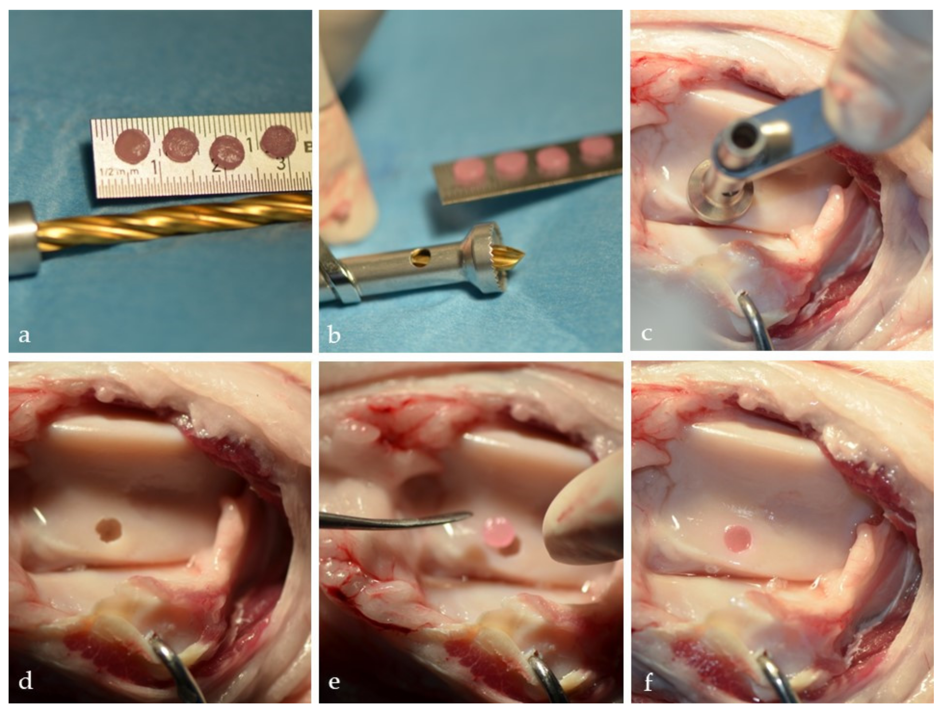 Cells 10 02496 g005 Cells 10 02496 g005