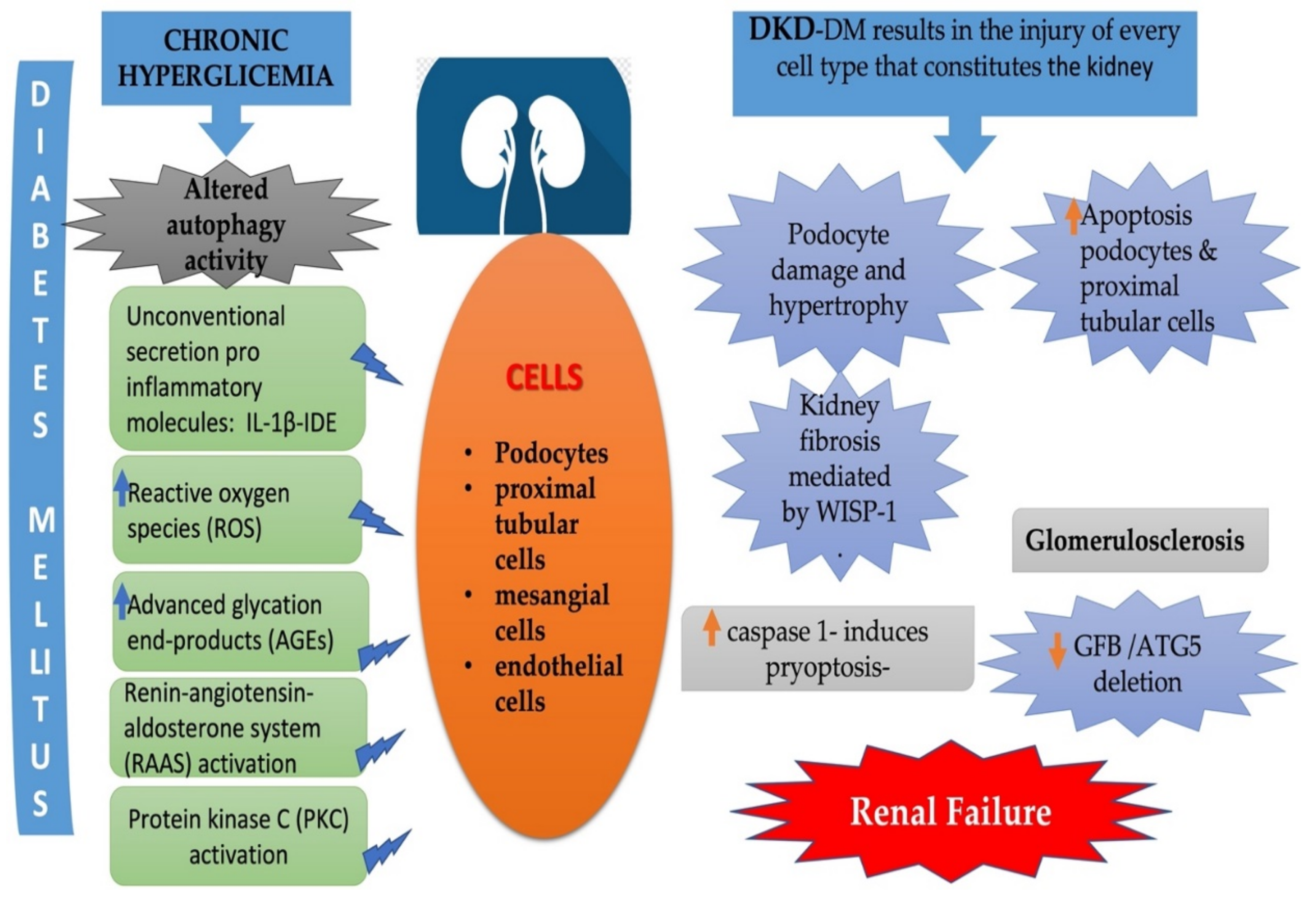 Cells 10 02497 g002 550