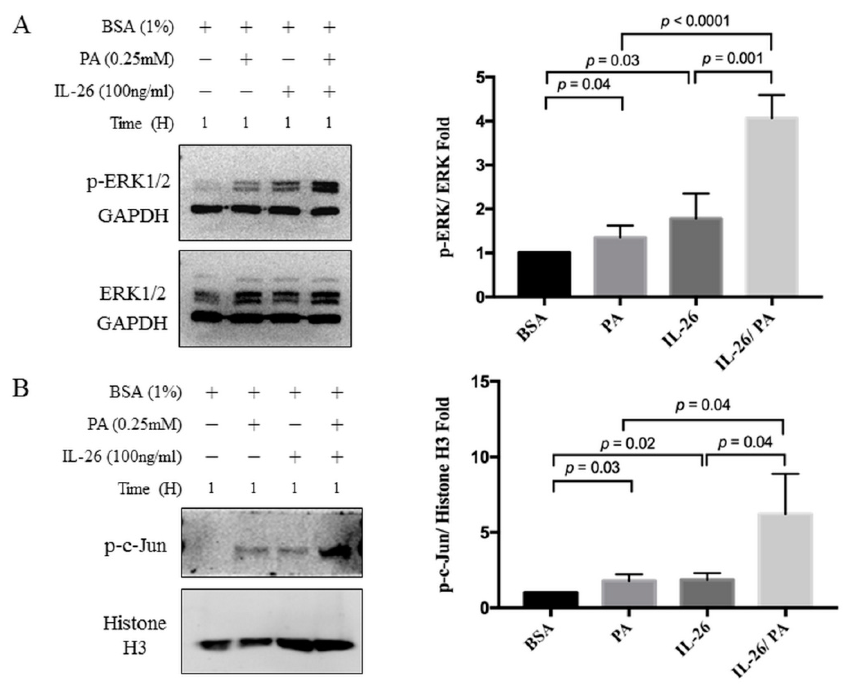 Cells 10 02500 g003 550