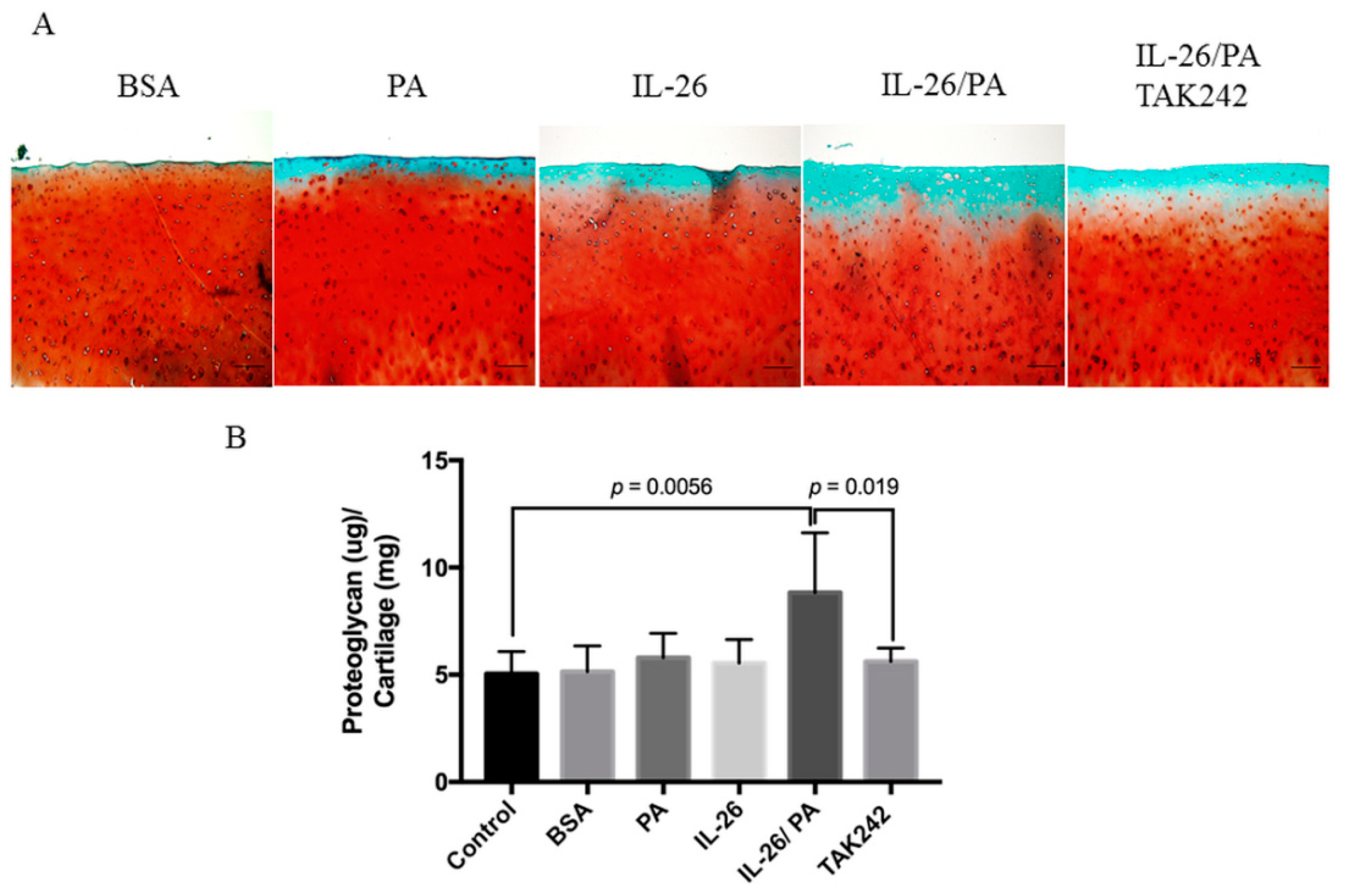 Cells 10 02500 g005 550