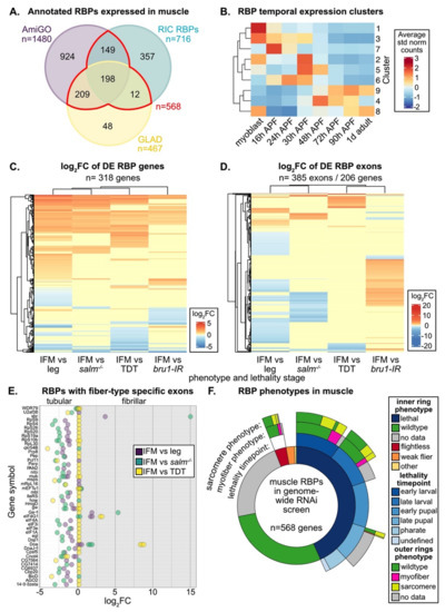 A Candidate RNAi Screen Reveals Diverse RNA-Binding Protein Phenotypes ...