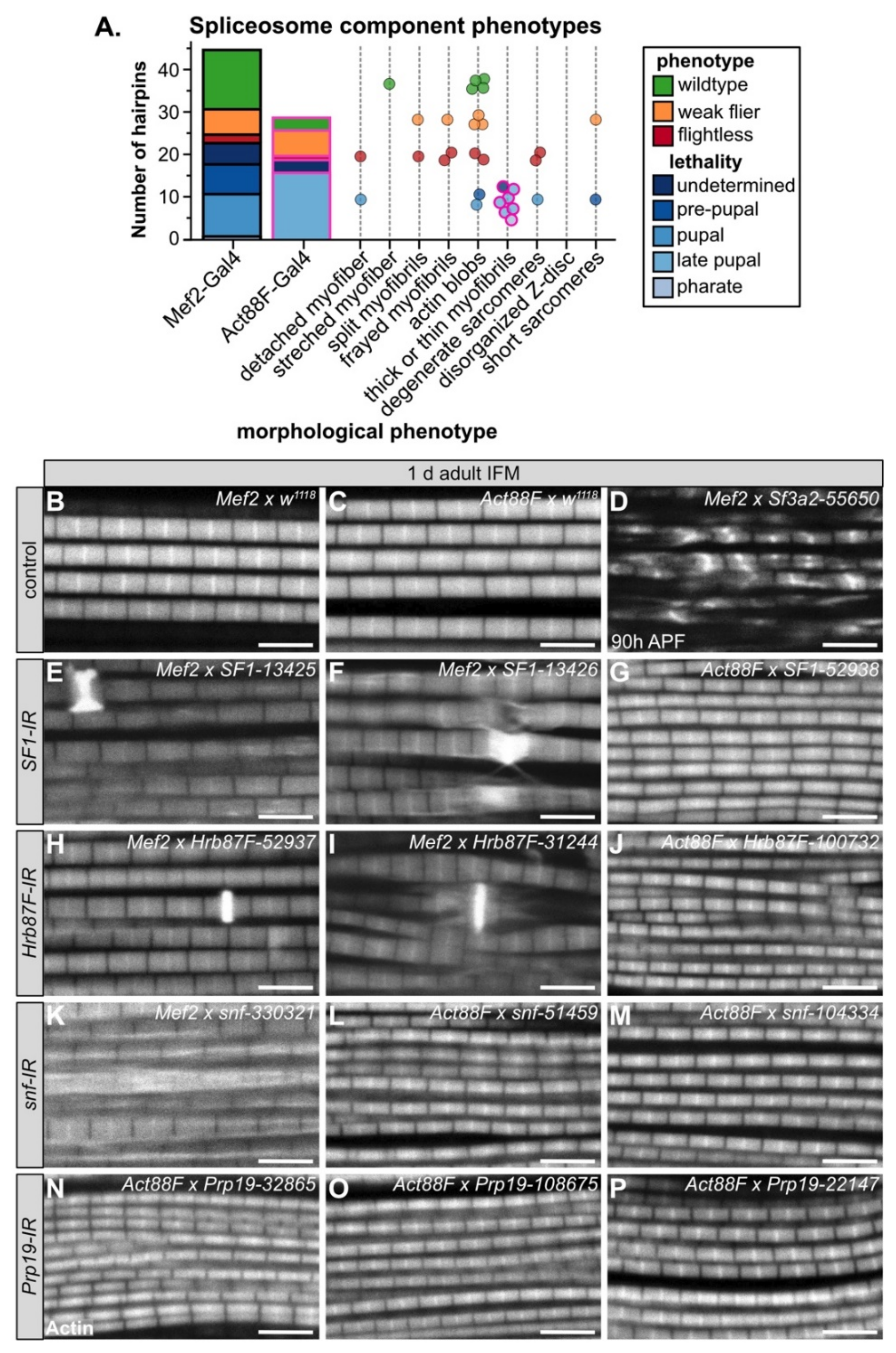 Cells 10 02505 g005
