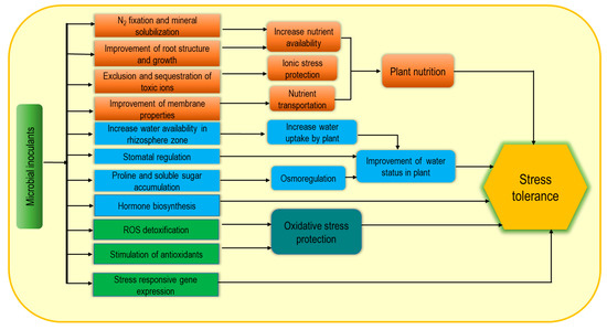 Cells 10 02537 g004 550