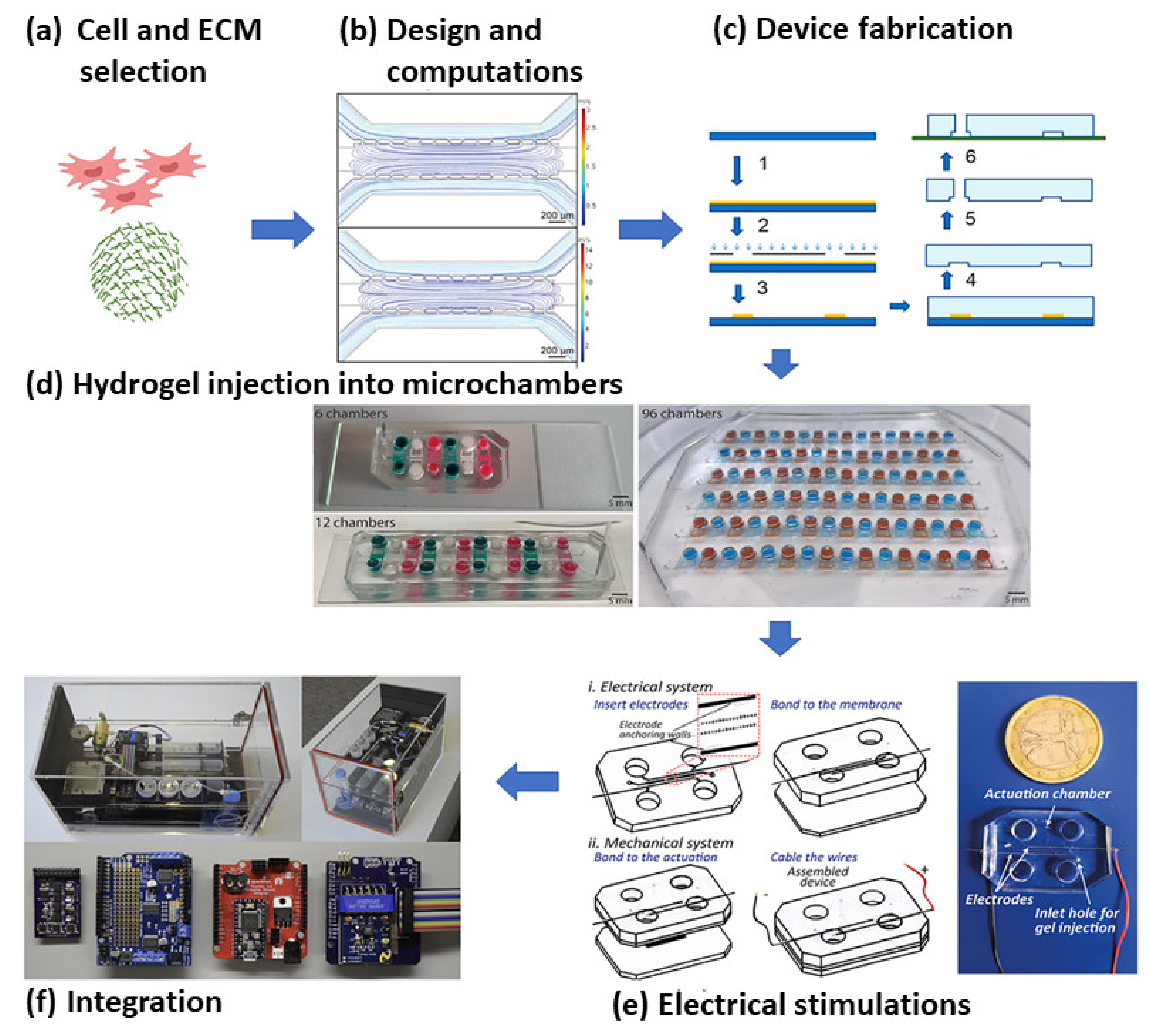 Cells 10 02538 g005 Cells 10 02538 g005