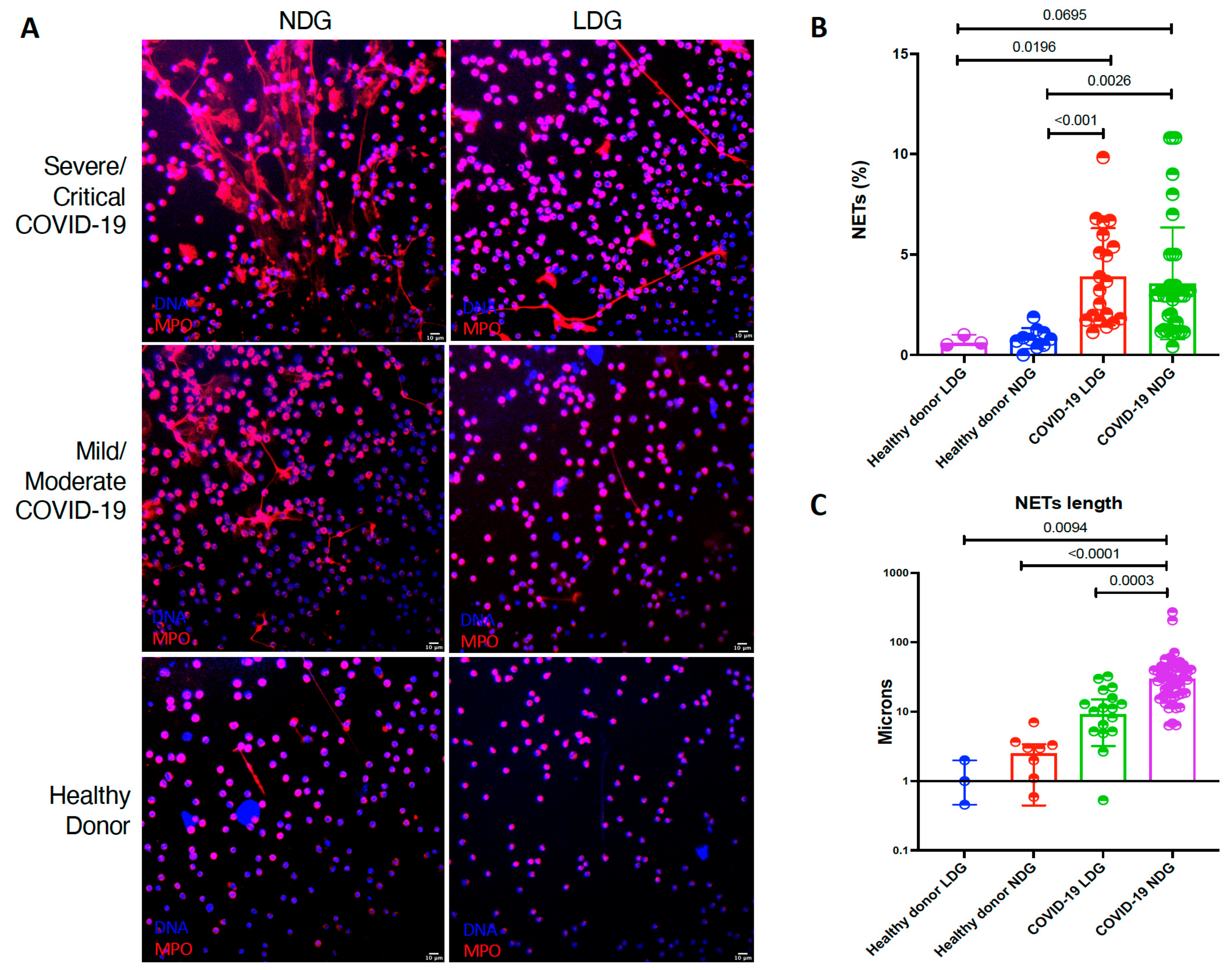 Cells 10 02545 g002 550
