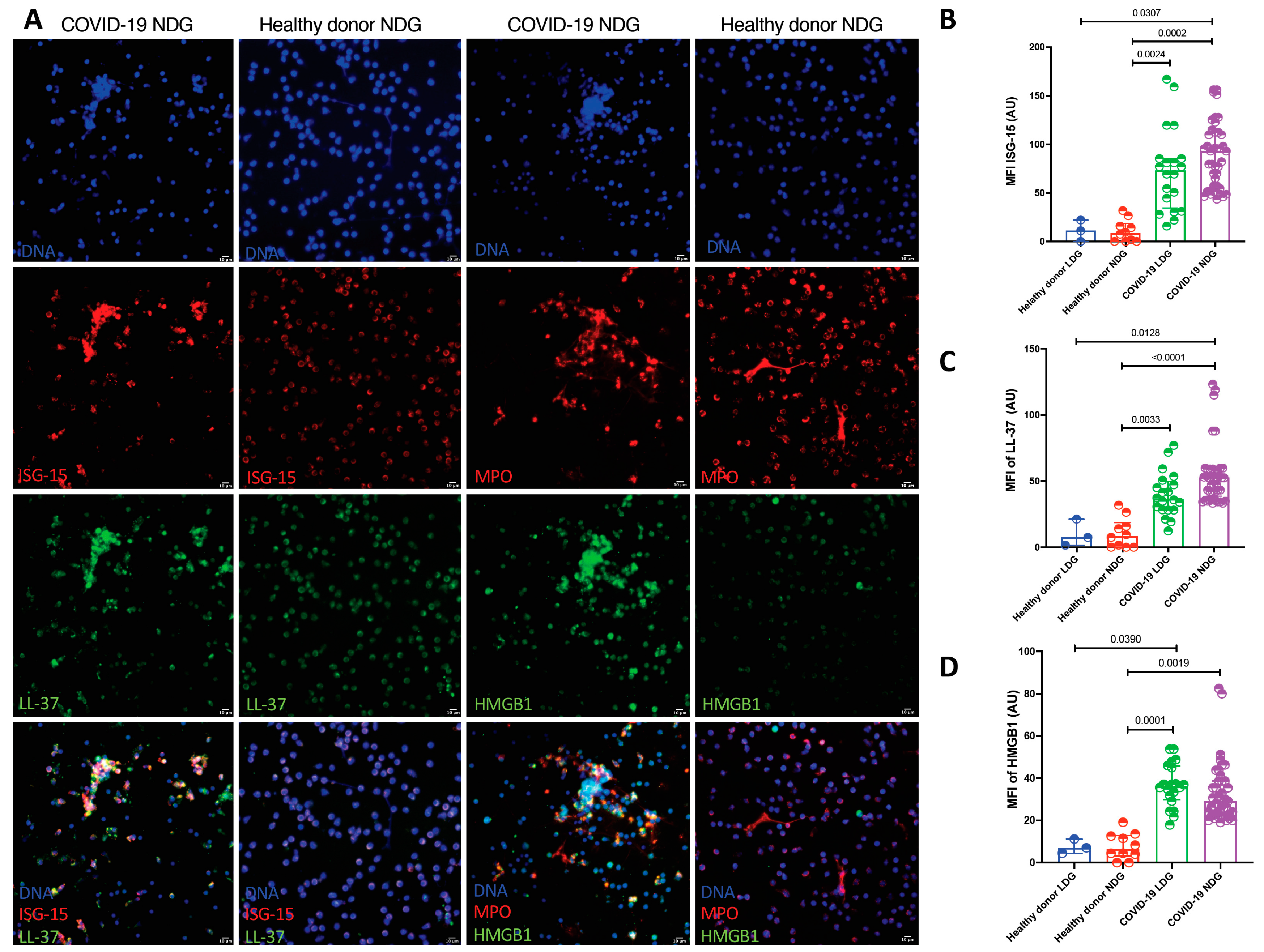 Cells 10 02545 g003 550