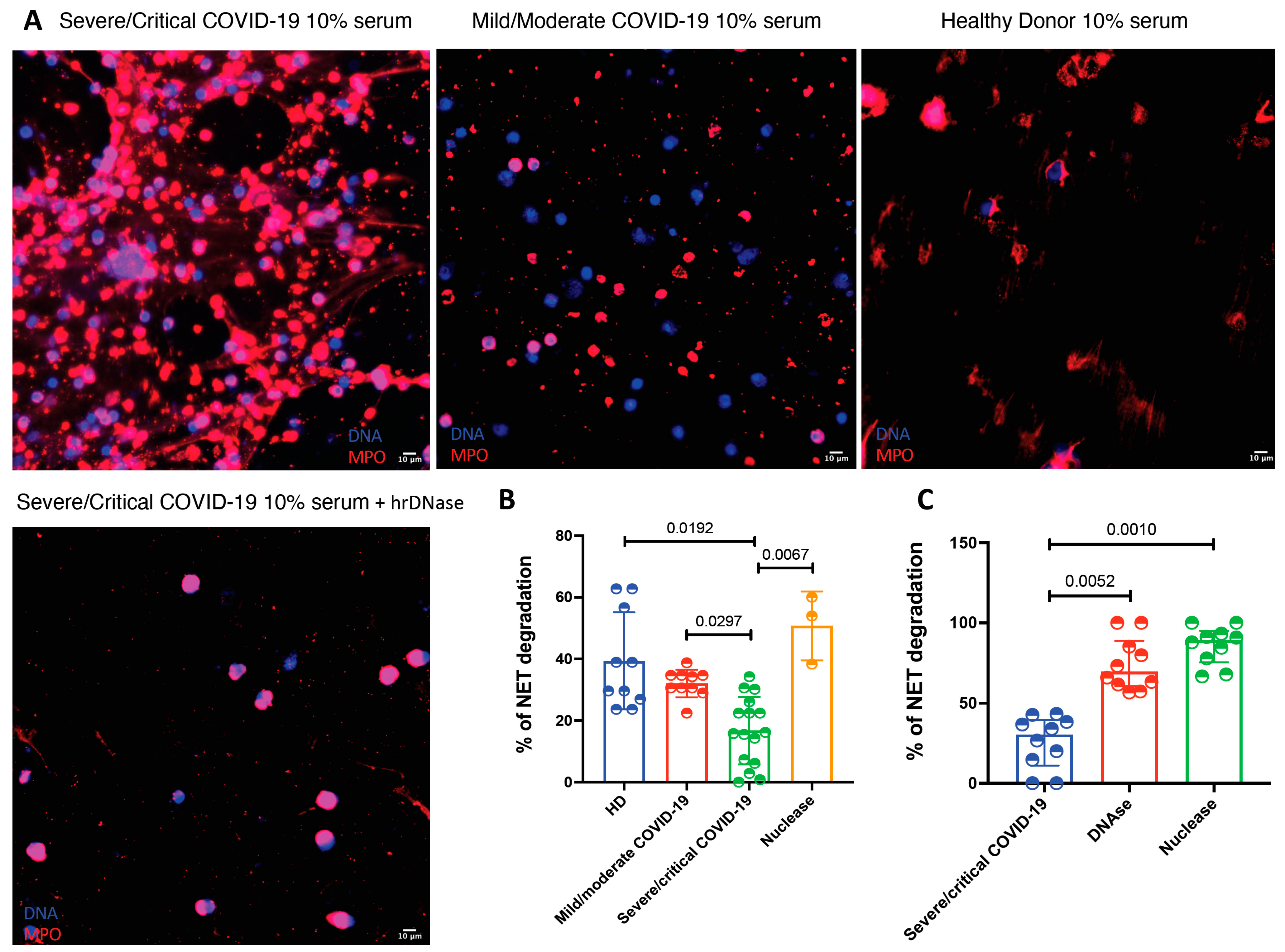 Cells 10 02545 g004 550