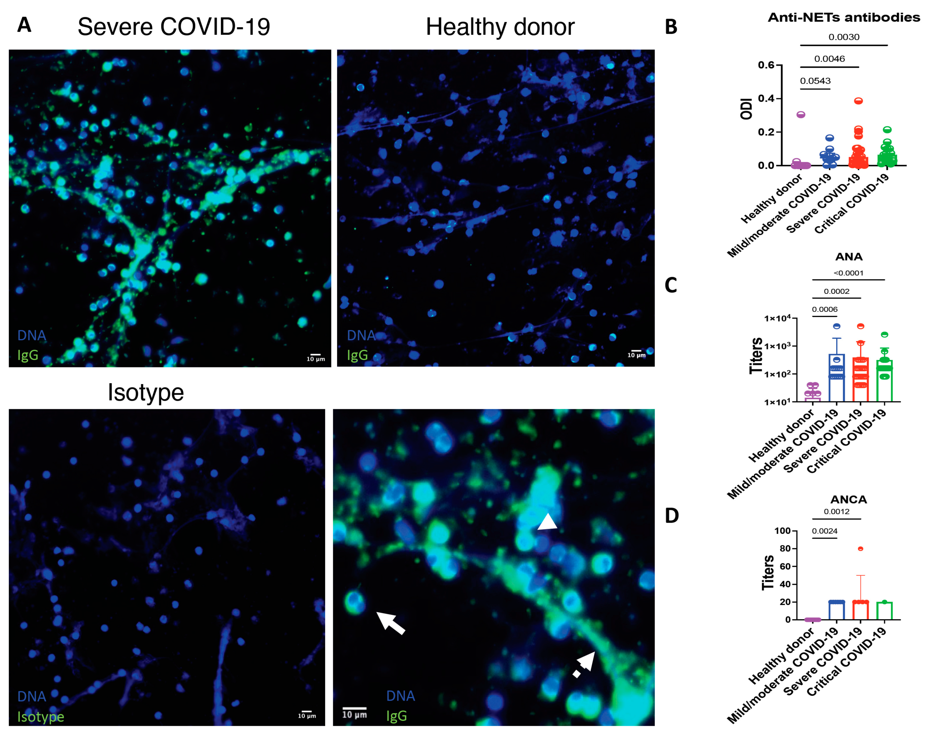Cells 10 02545 g005 550