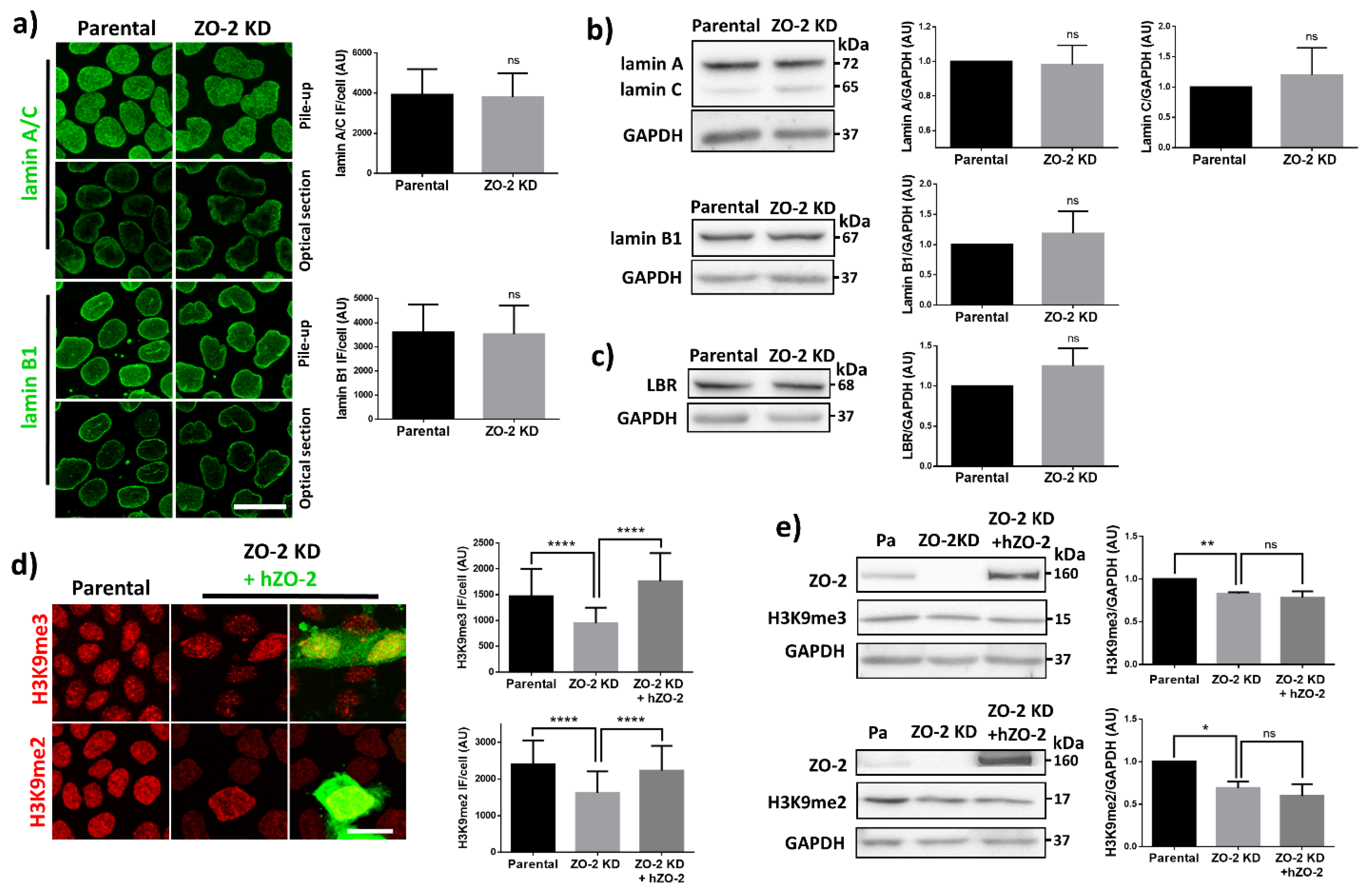 Cells 10 02568 g004