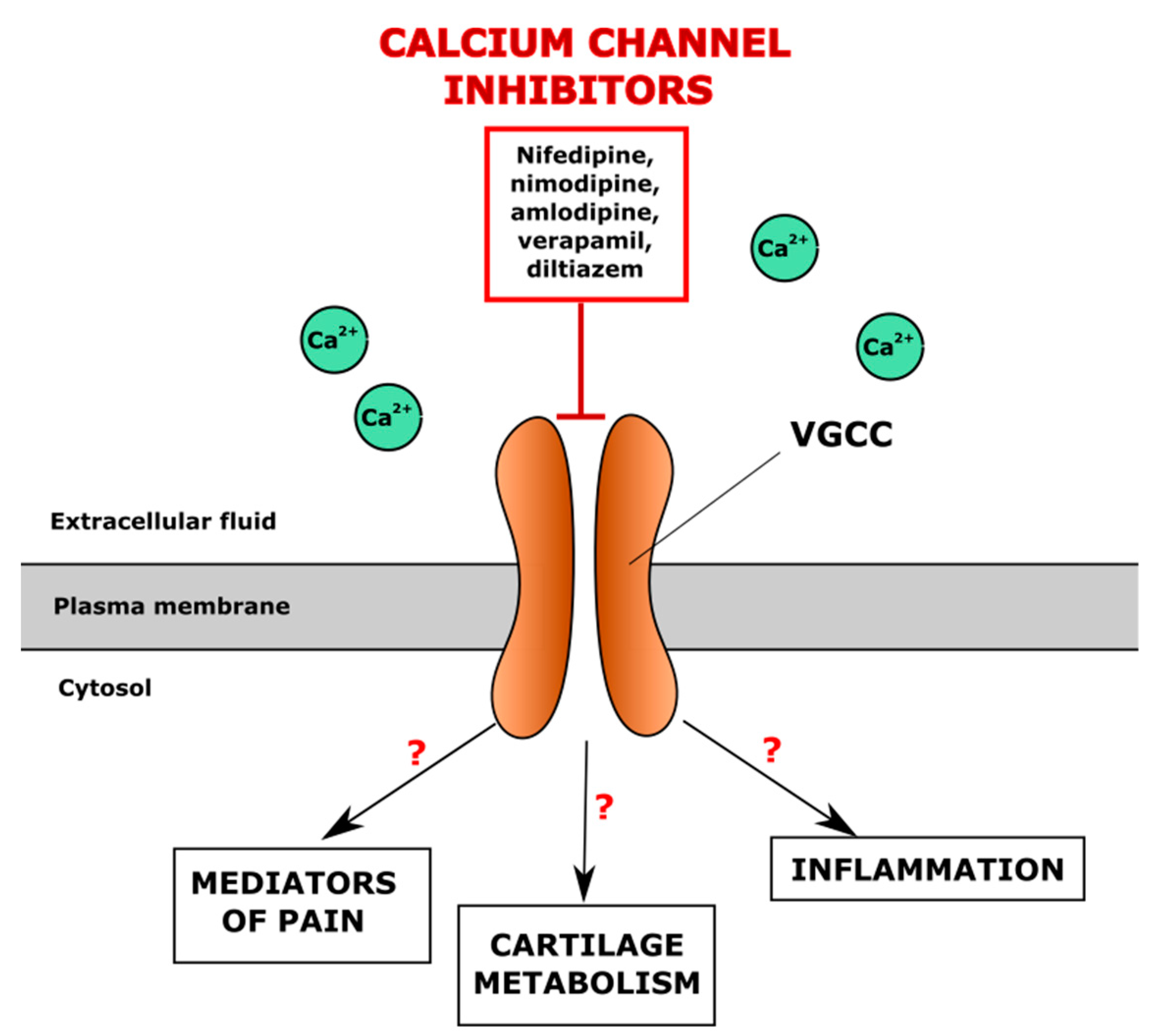 Cells 10 02572 g002 Cells 10 02572 g002