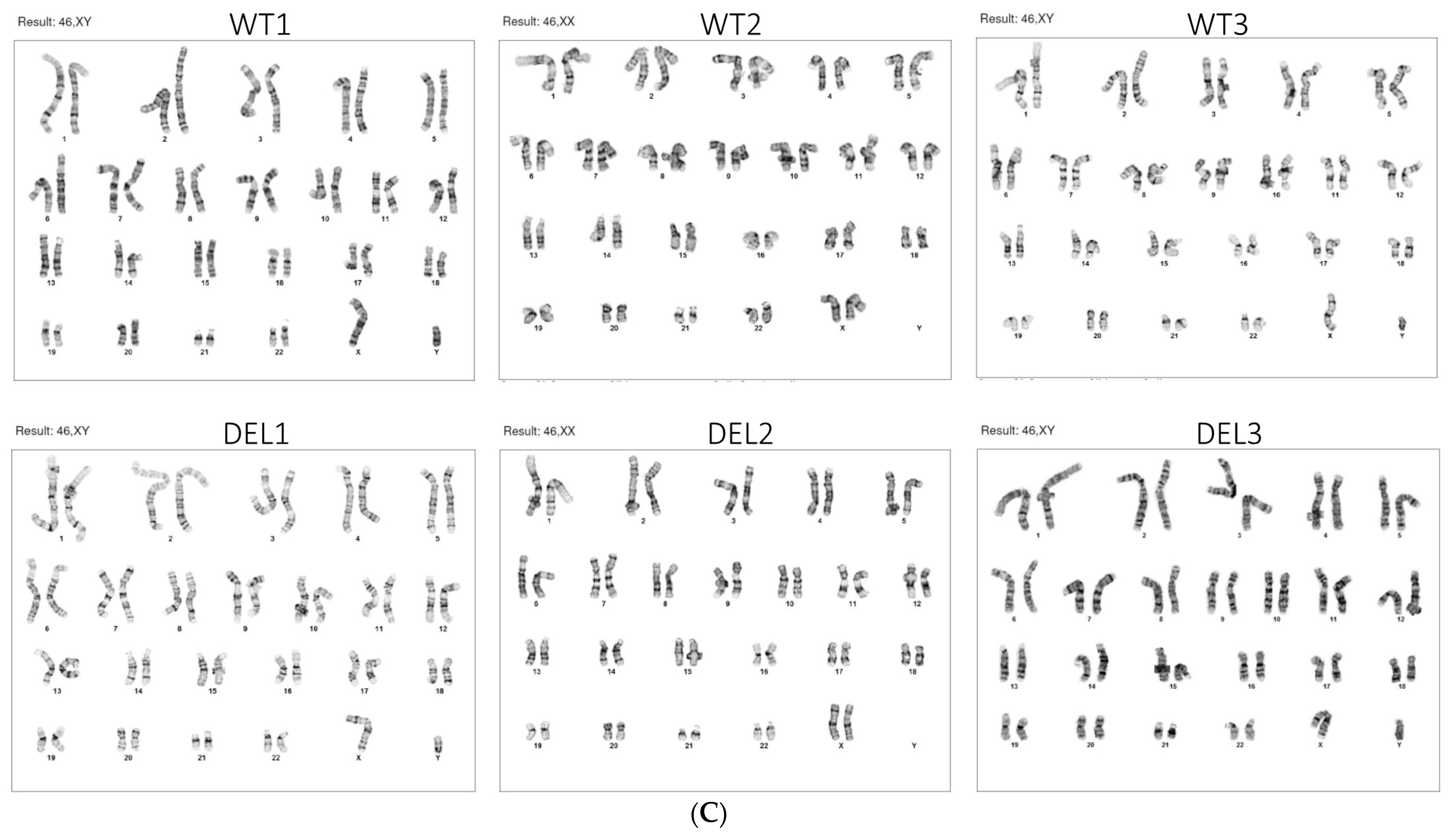 Cells 10 02576 g0a1b