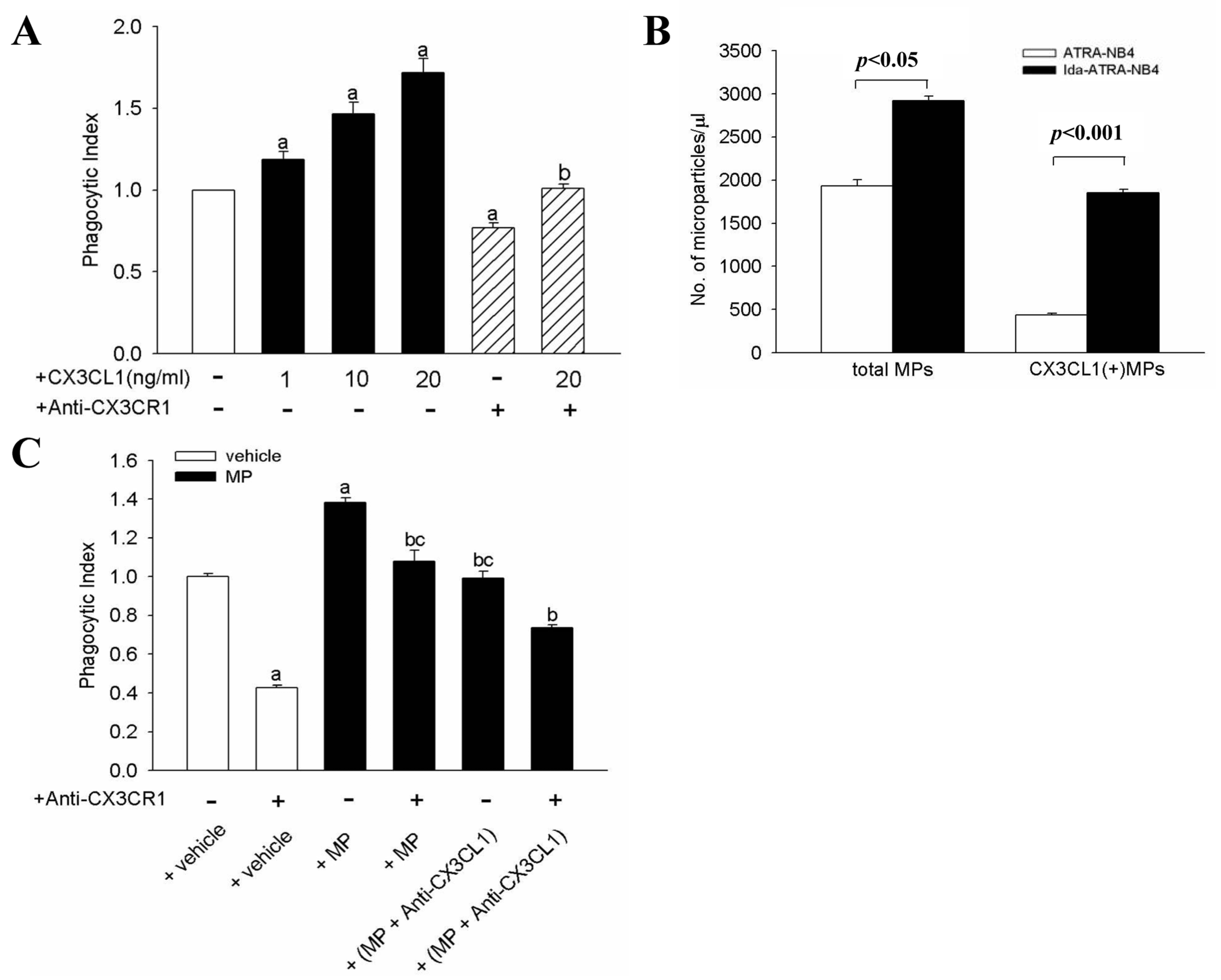 Cells 10 02583 g002 Cells 10 02583 g002