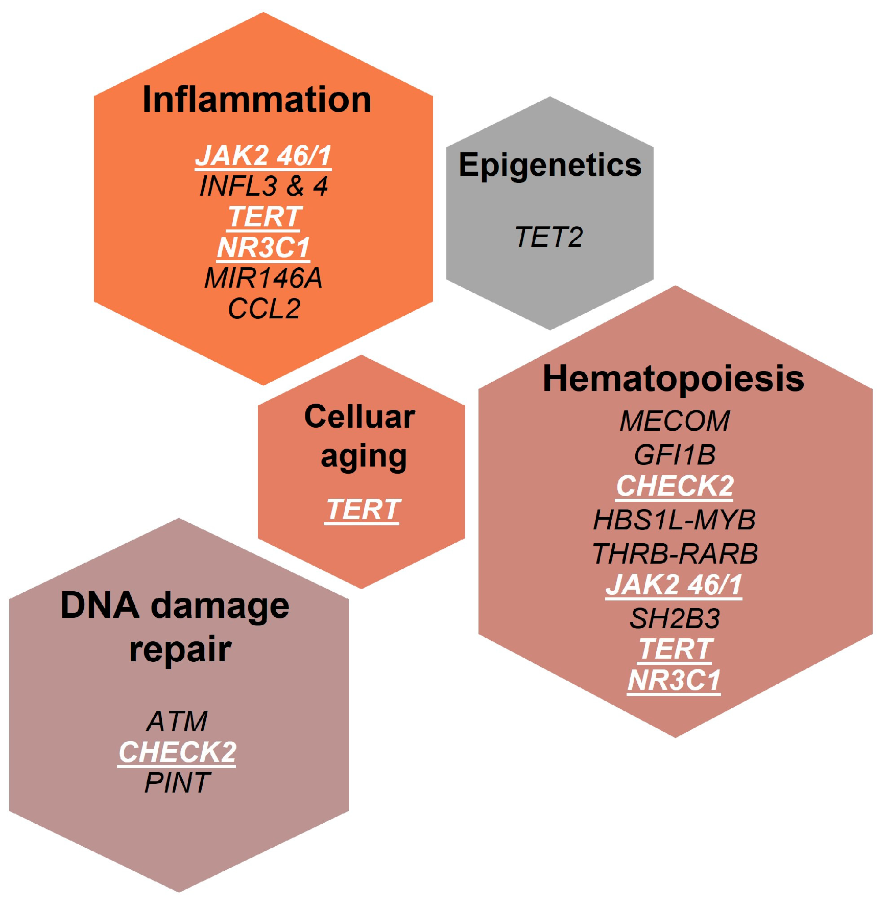 Revolutionerende Shredded Mus Cells | Free Full-Text | The Genetic Makeup of Myeloproliferative  Neoplasms: Role of Germline Variants in Defining Disease Risk, Phenotypic  Diversity and Outcome