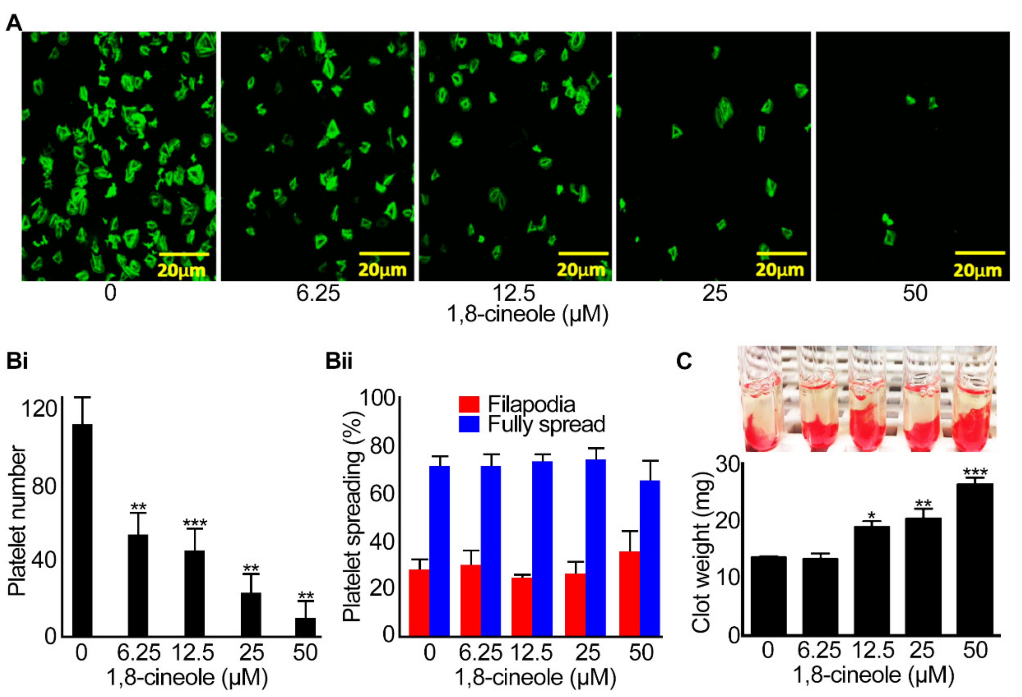Cells 10 02616 g007 Cells 10 02616 g007