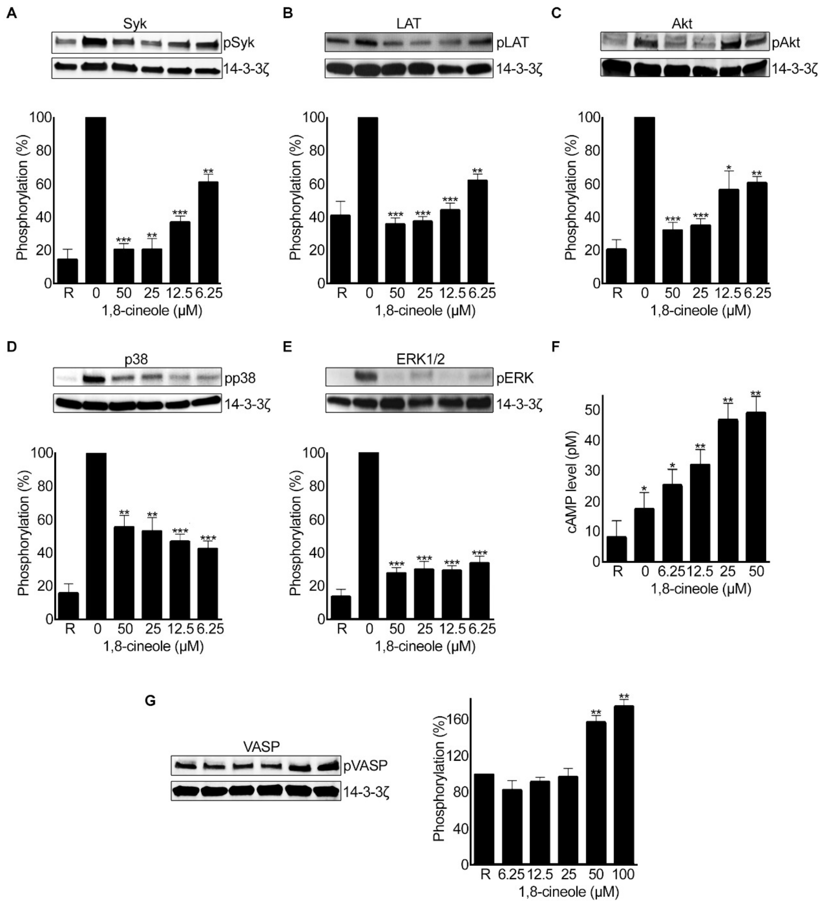 Cells 10 02616 g009 Cells 10 02616 g009