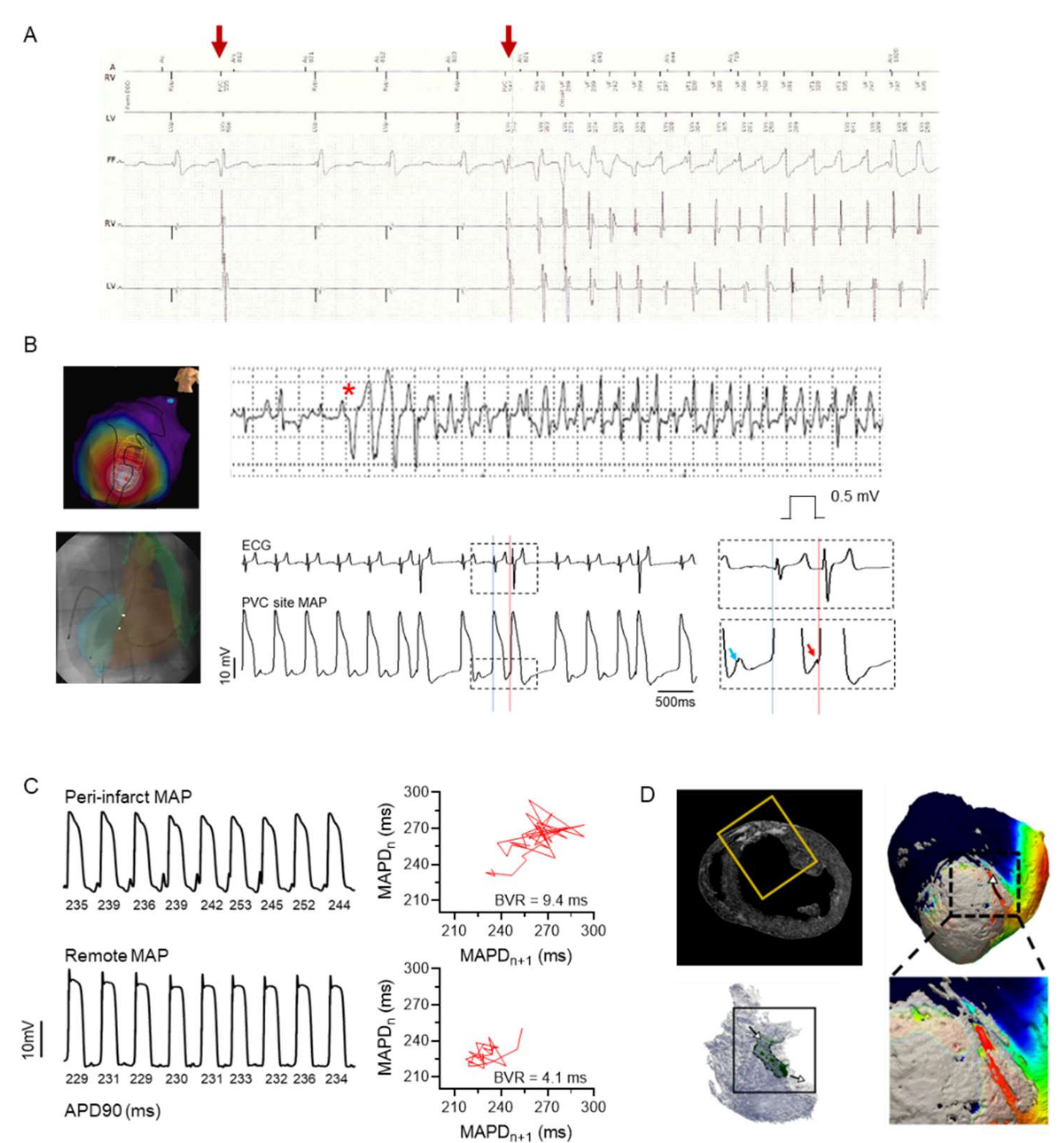 Cells 10 02629 g004 Cells 10 02629 g004