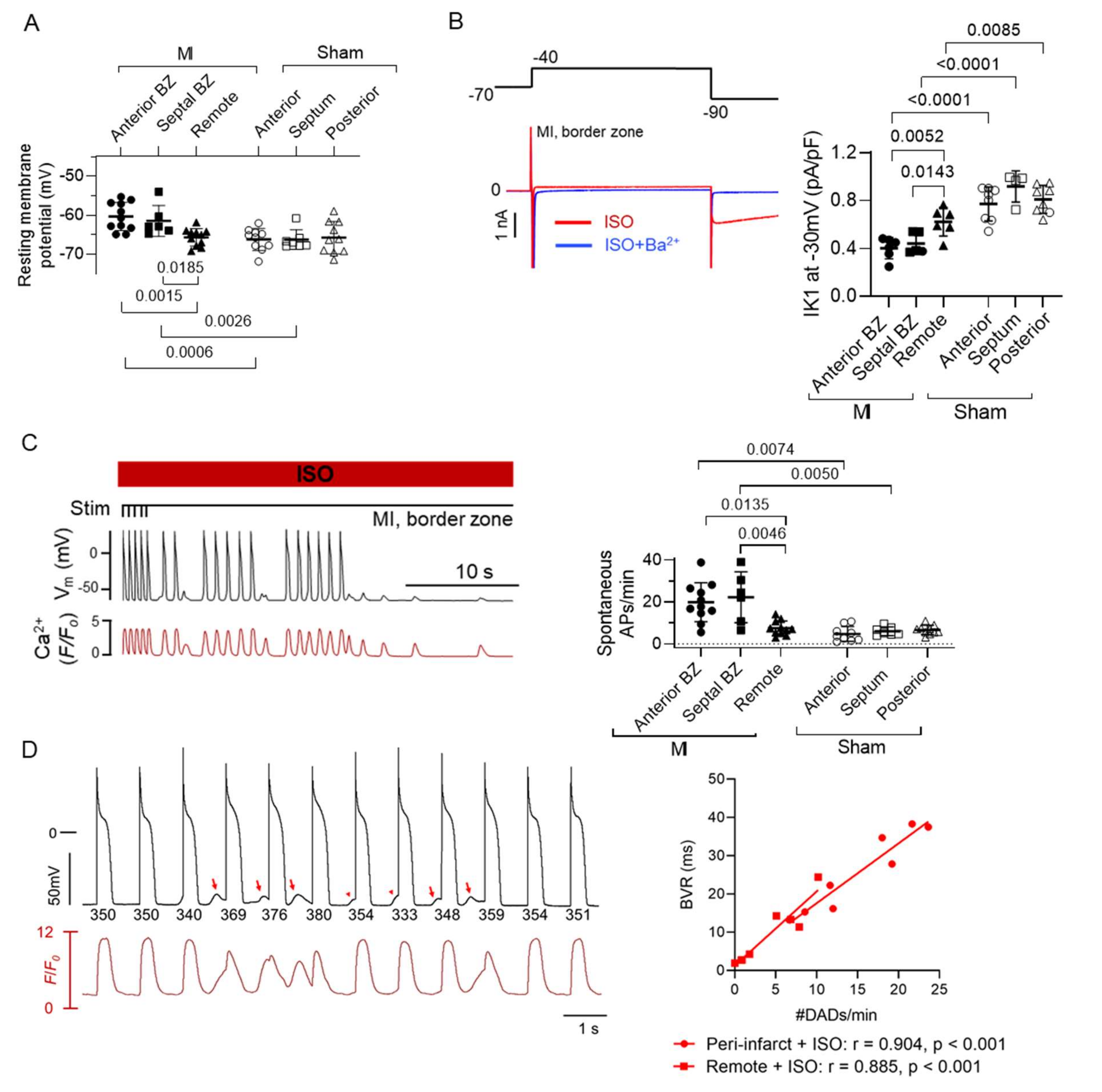 Cells 10 02629 g005 Cells 10 02629 g005