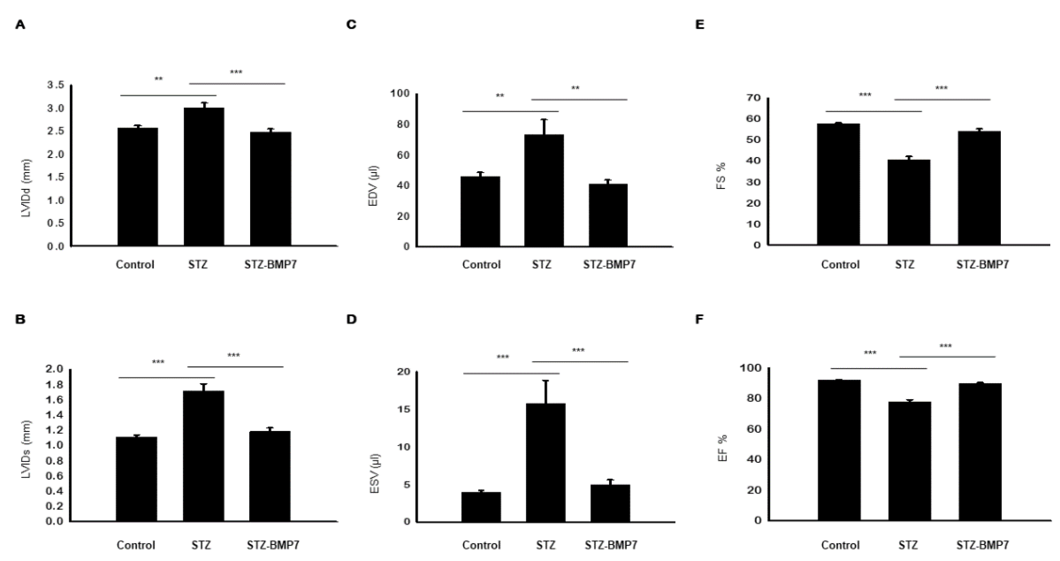 Cells 10 02640 g009 Cells 10 02640 g009