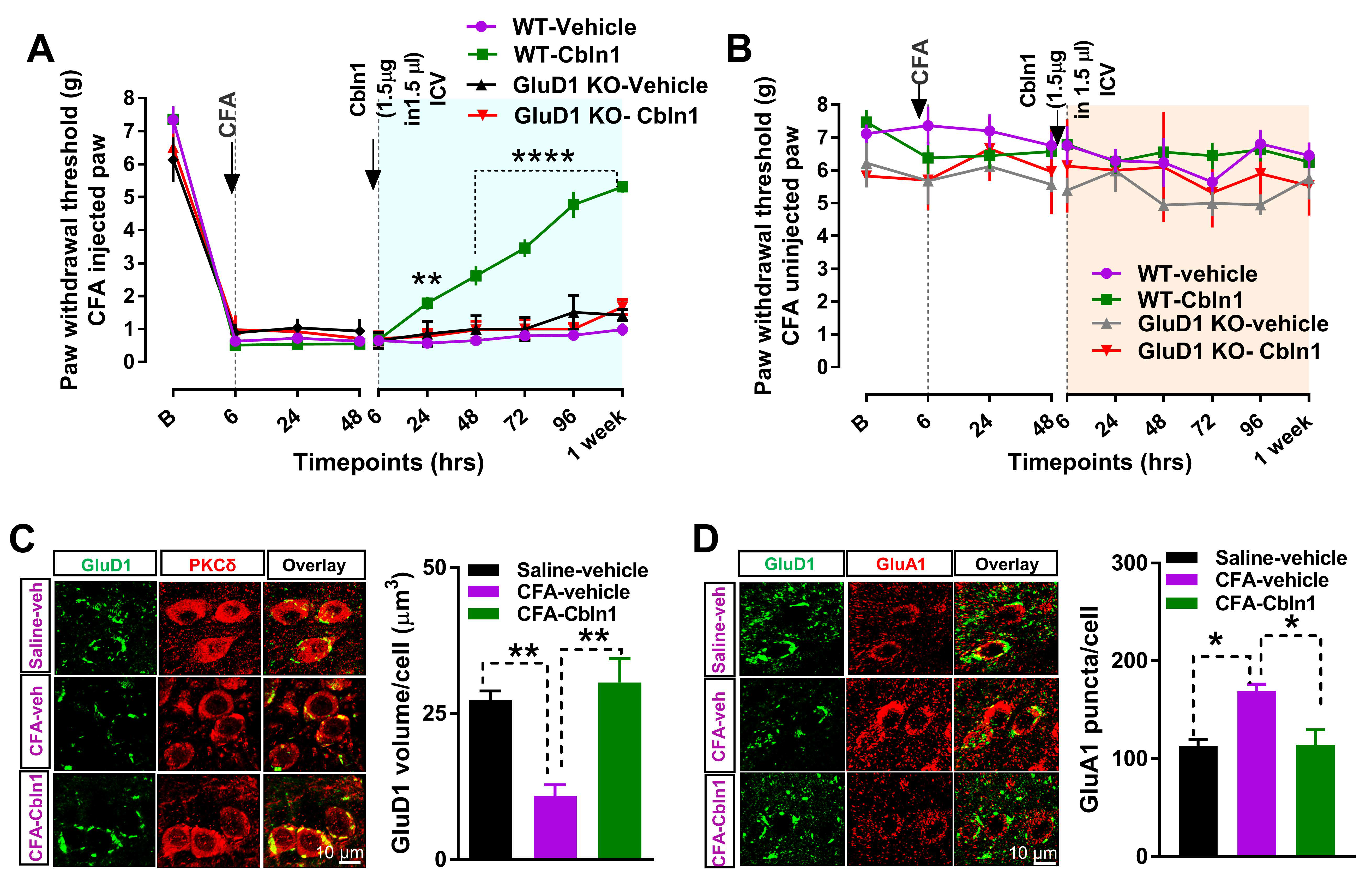 Cells 10 02644 g005 Cells 10 02644 g005