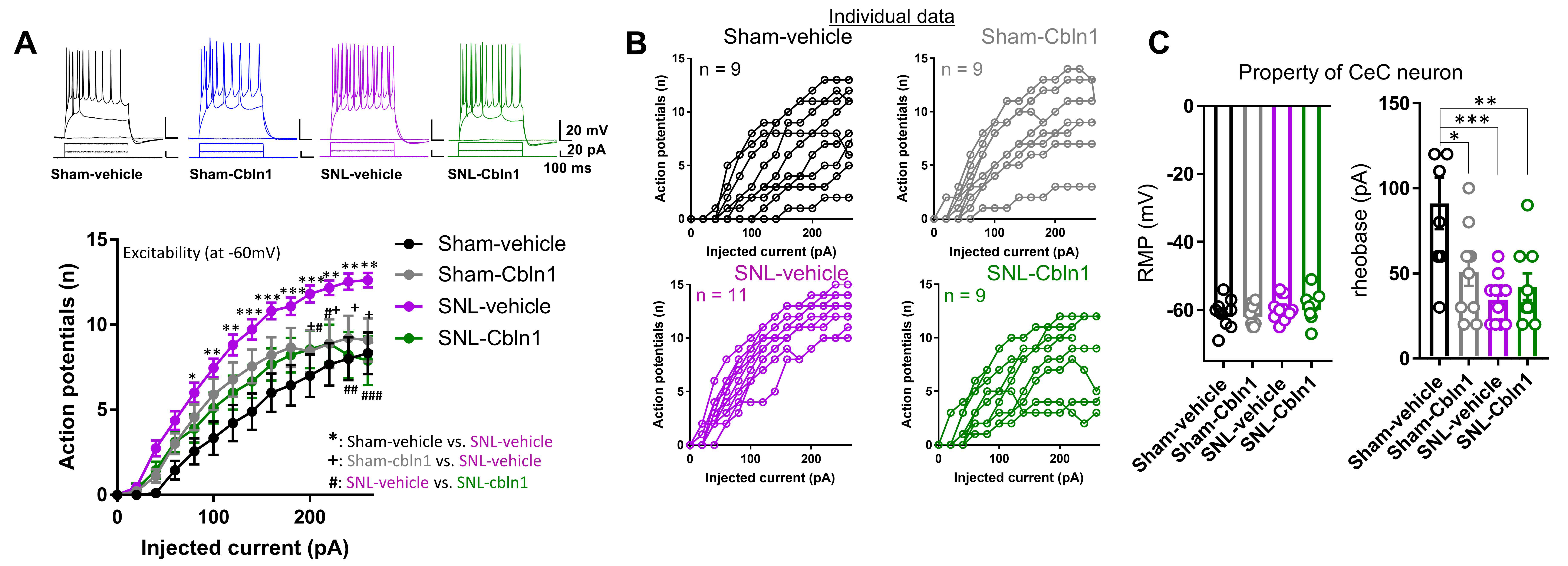 Cells 10 02644 g007 Cells 10 02644 g007