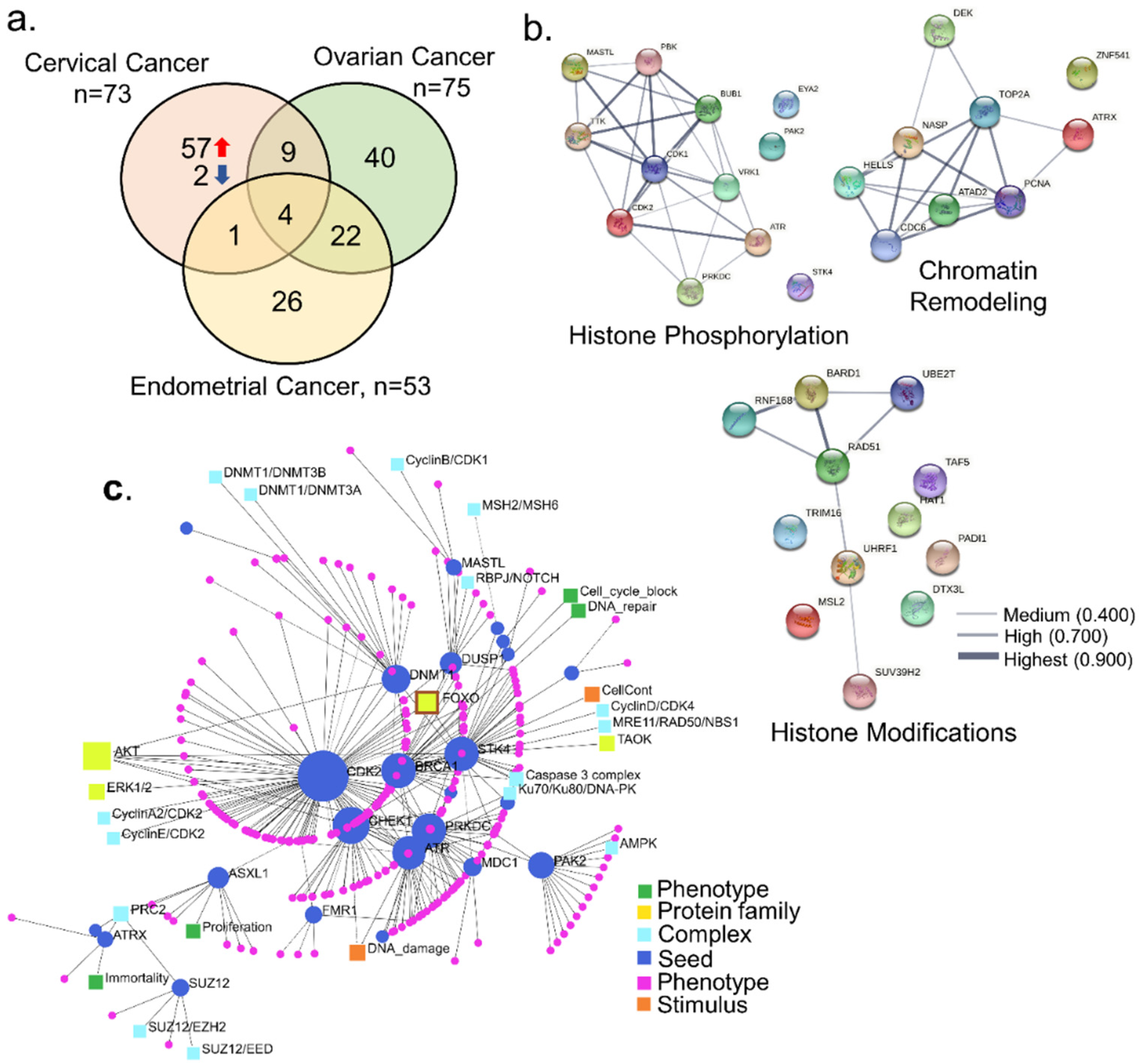 Cells 10 02665 g002 Cells 10 02665 g002