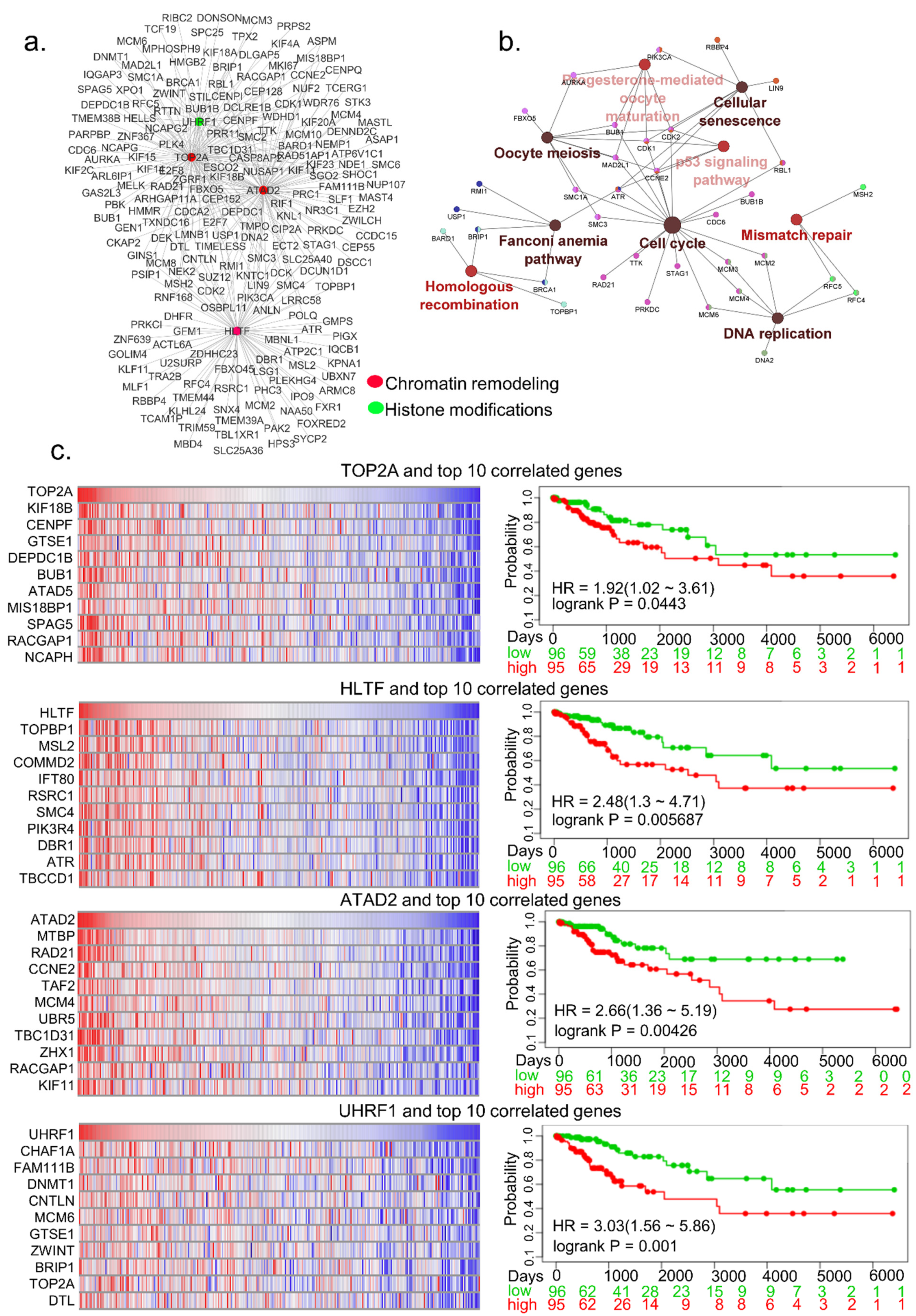 Cells 10 02665 g004 Cells 10 02665 g004