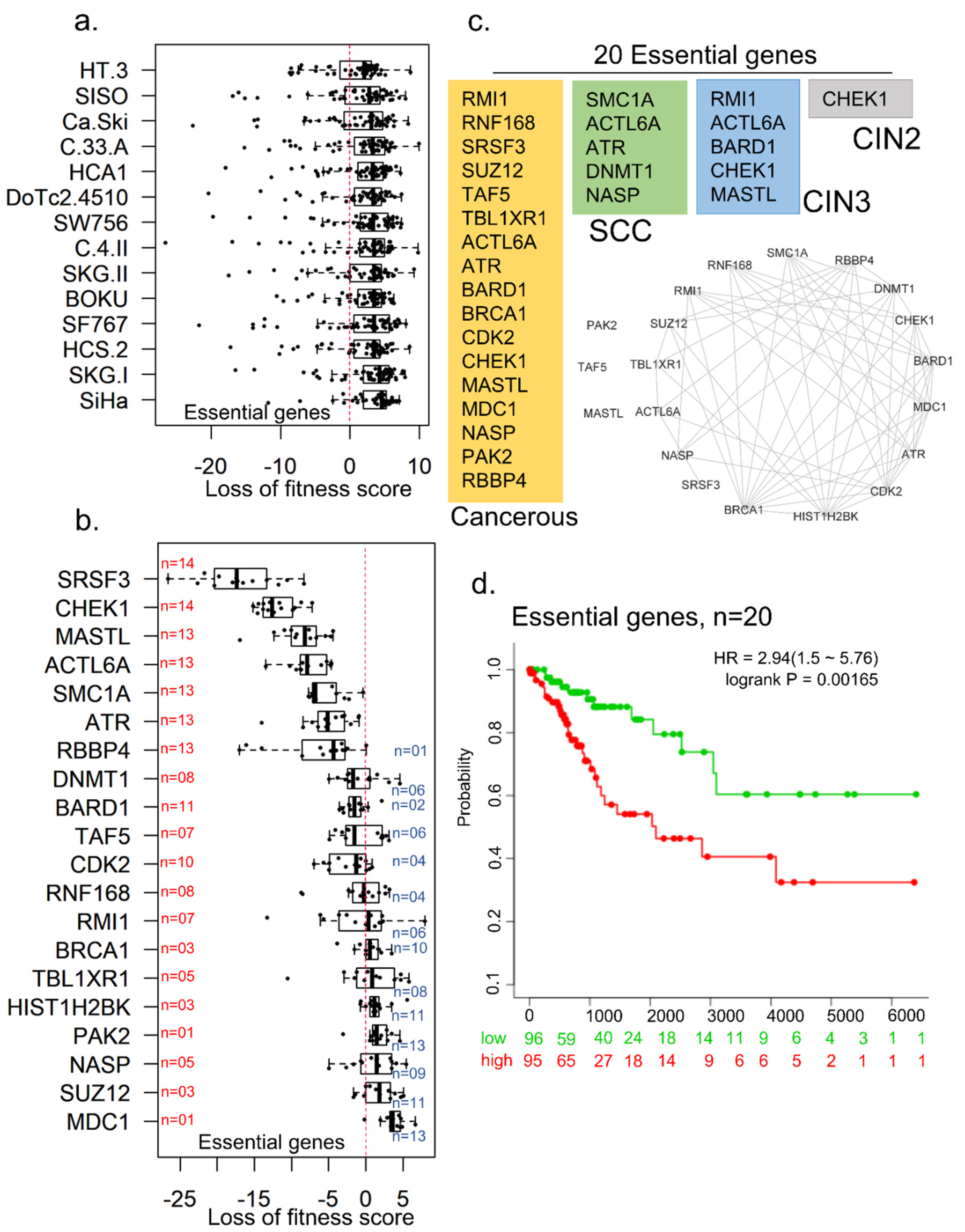 Cells 10 02665 g005 Cells 10 02665 g005