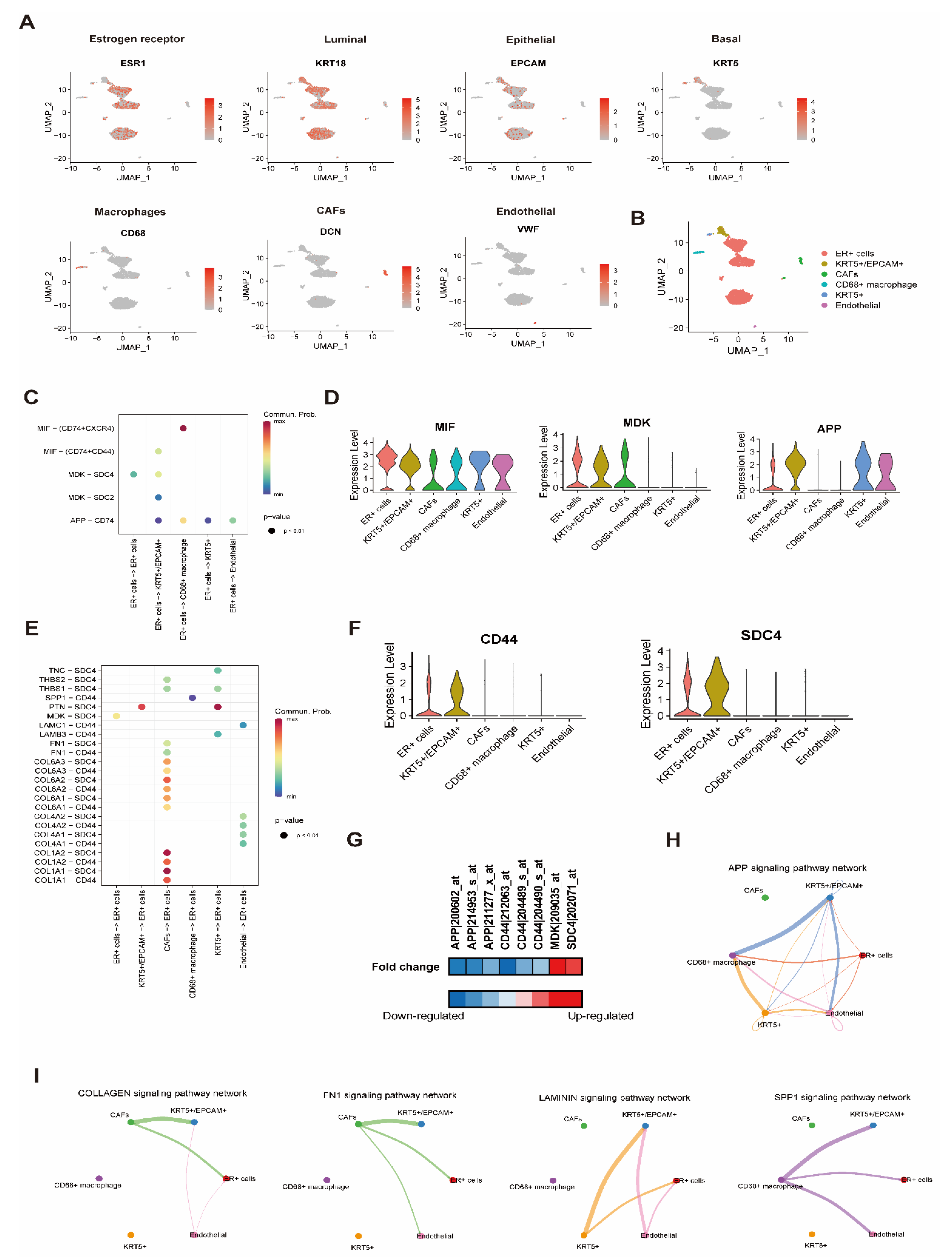 Cells 10 02673 g005 Cells 10 02673 g005