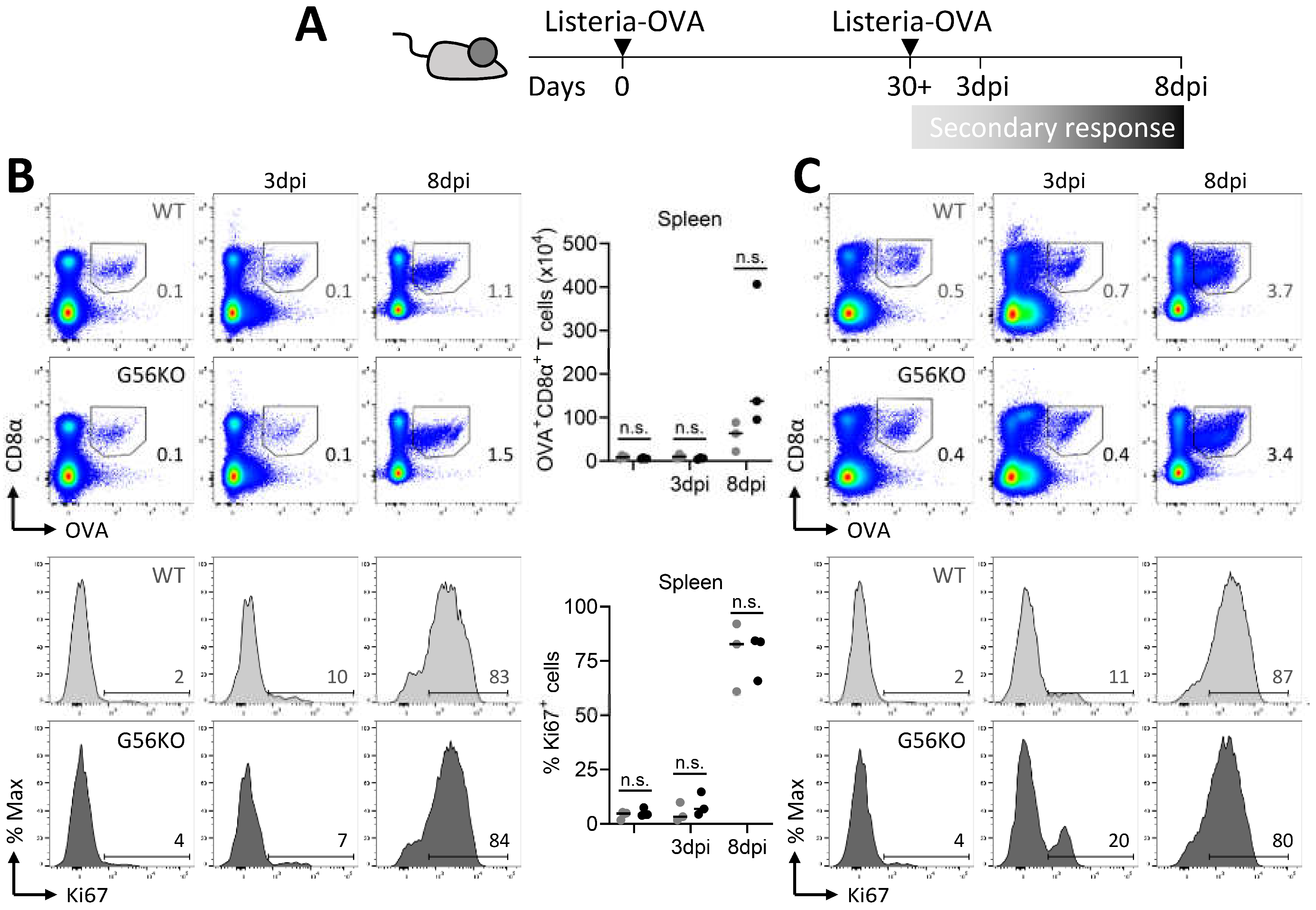 Cells 10 02675 g006a