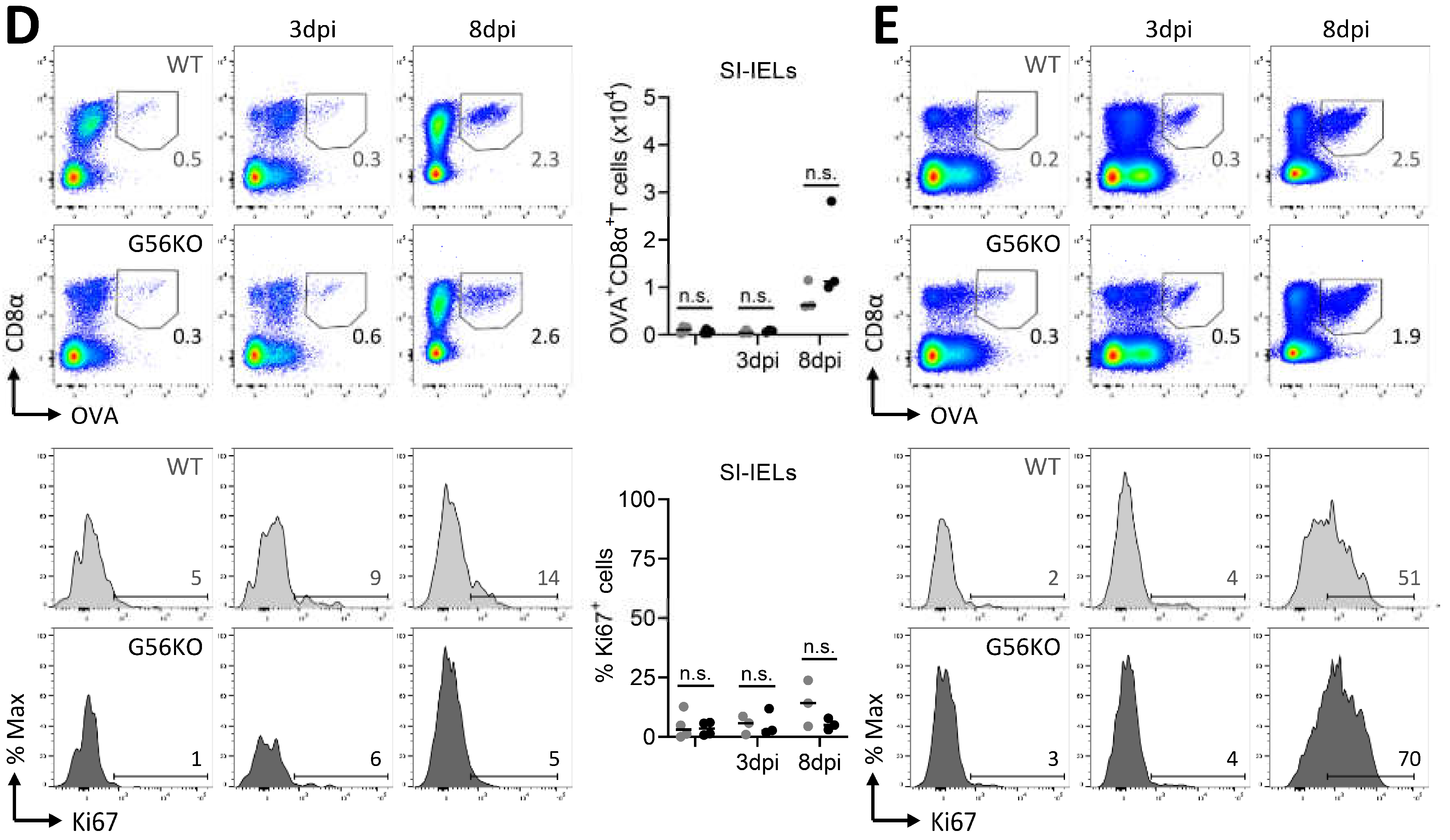 Cells 10 02675 g006b
