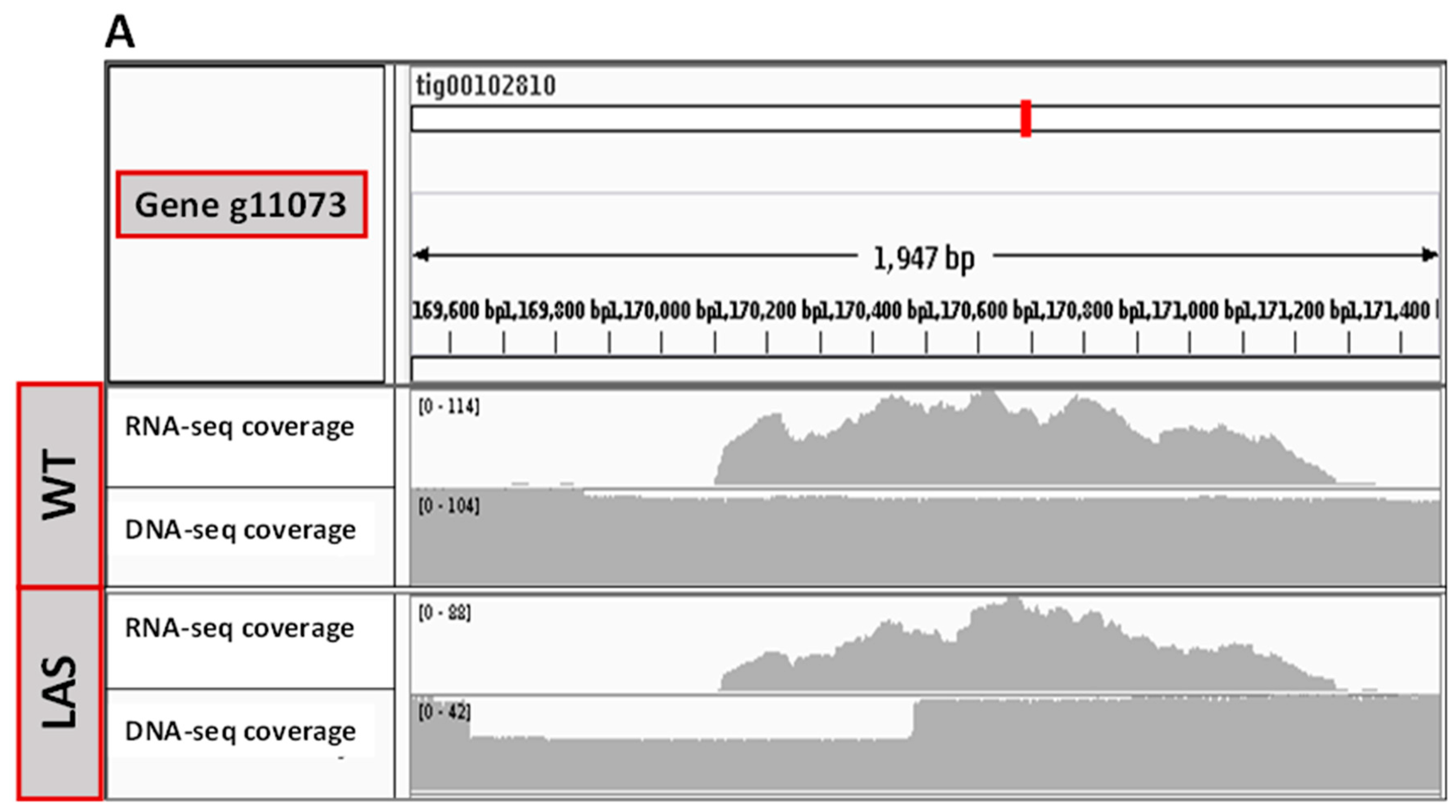 Cells 10 02680 g005a