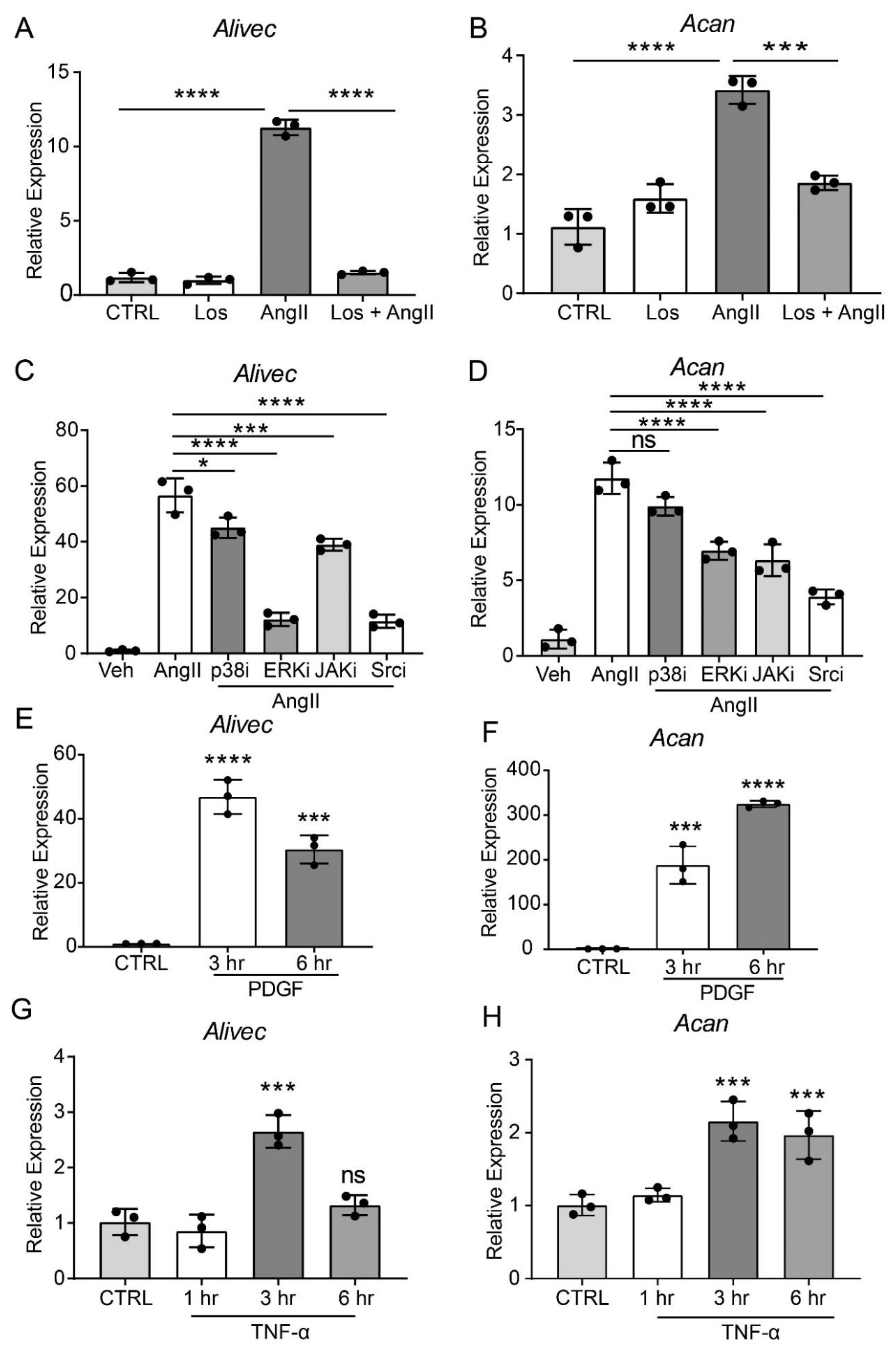Cells 10 02696 g002 Cells 10 02696 g002
