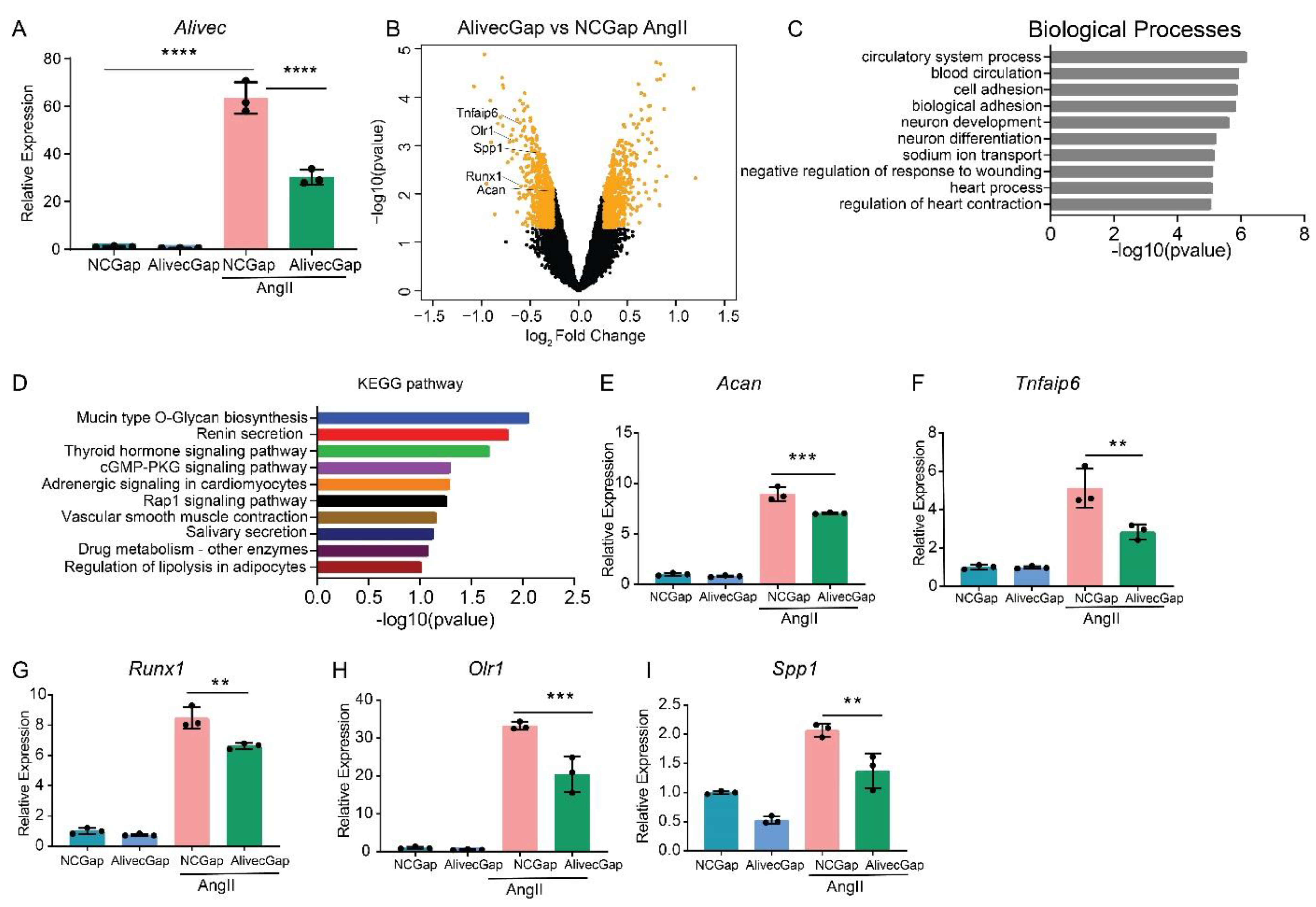 Cells 10 02696 g003 Cells 10 02696 g003