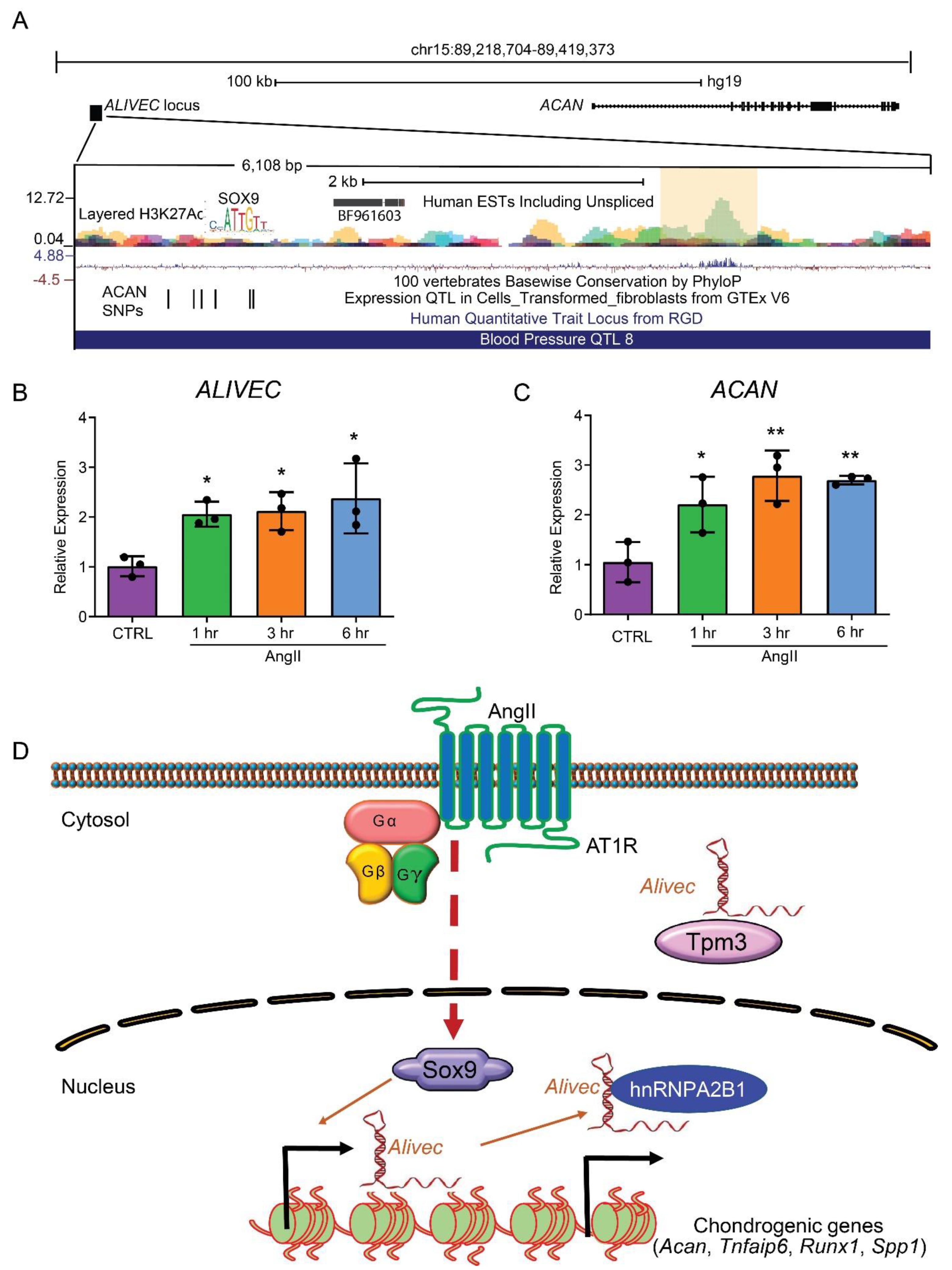 Cells 10 02696 g008 Cells 10 02696 g008