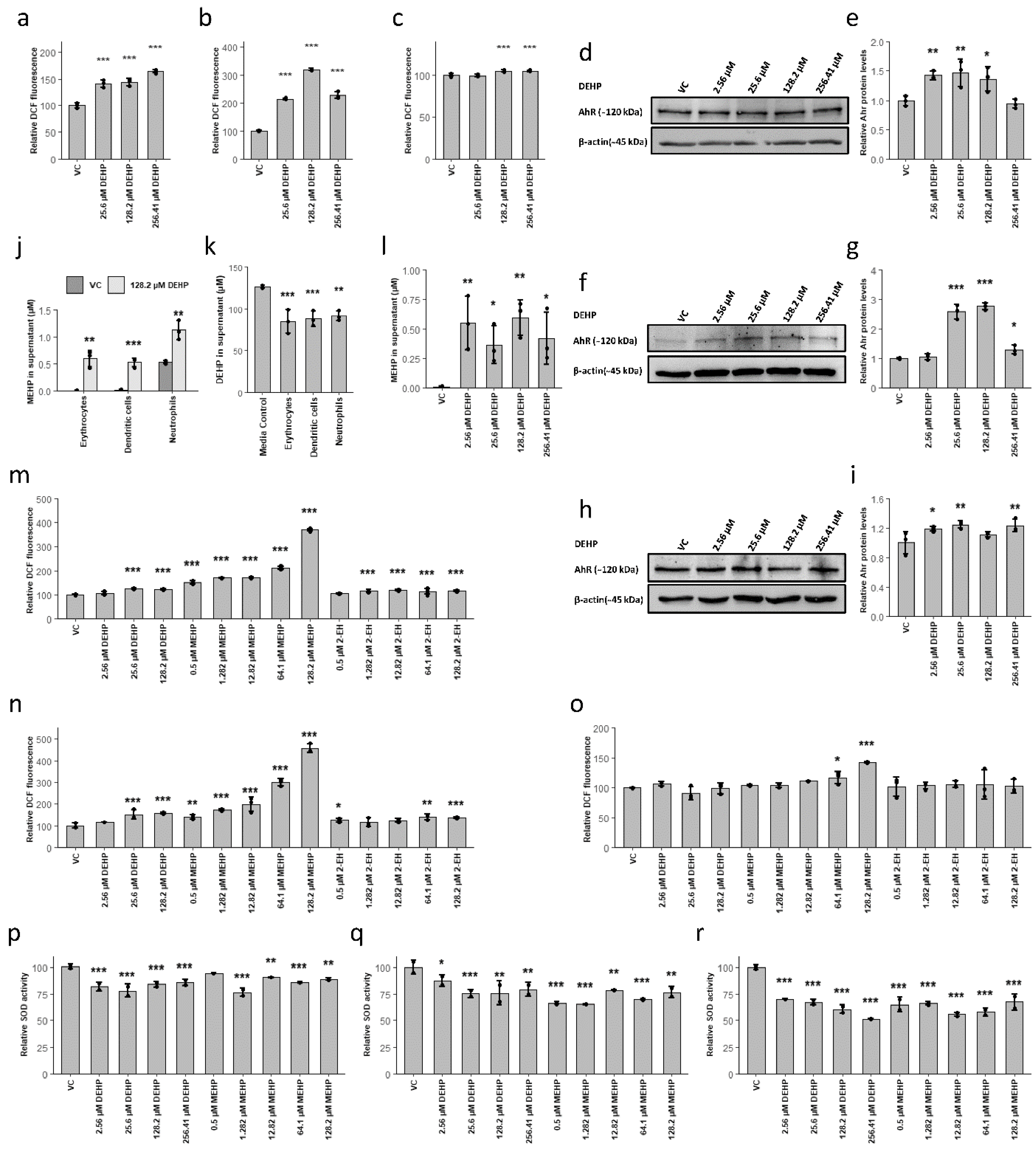 Cells 10 02703 g003 550