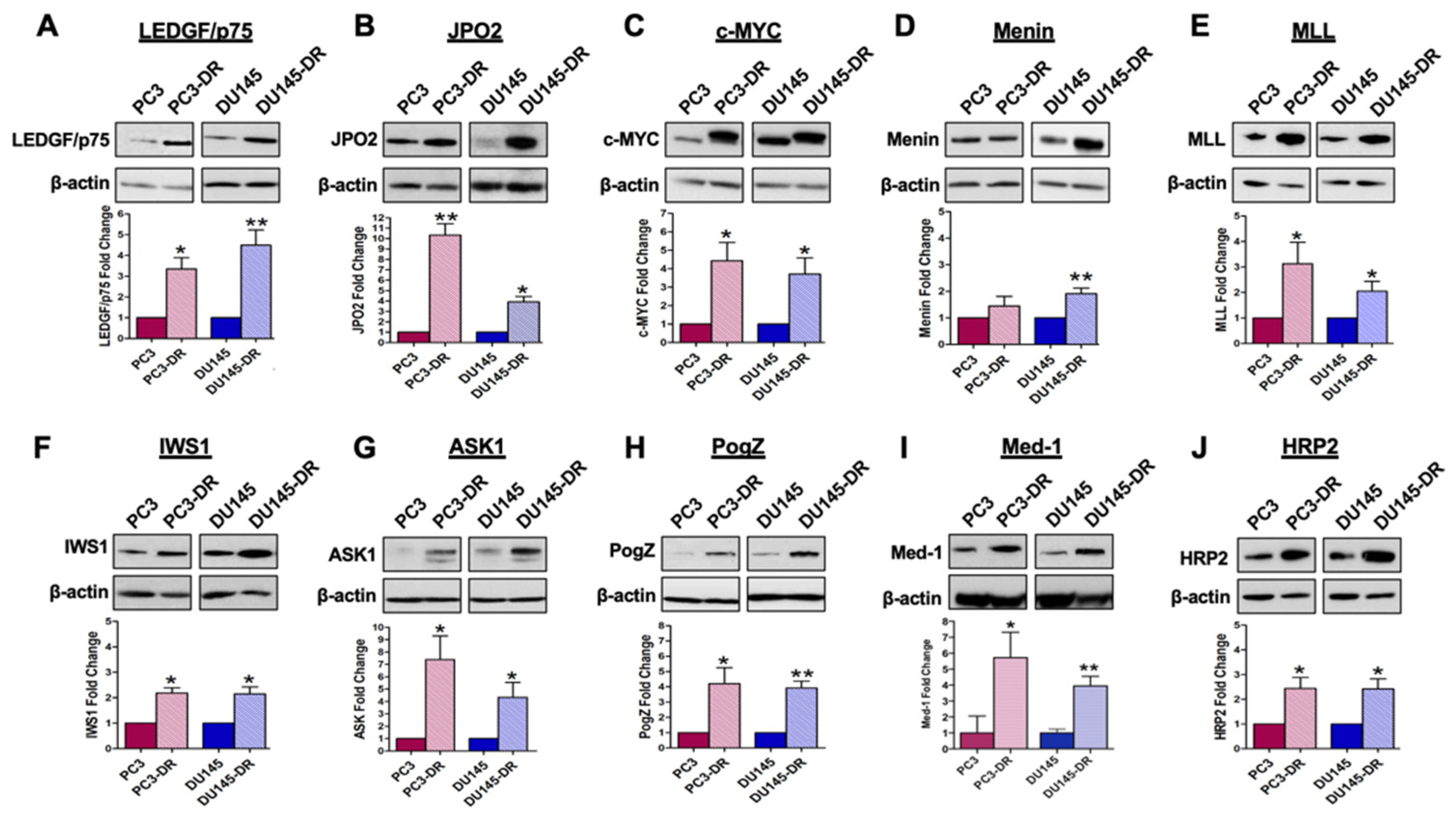 Cells 10 02723 g001 Cells 10 02723 g001