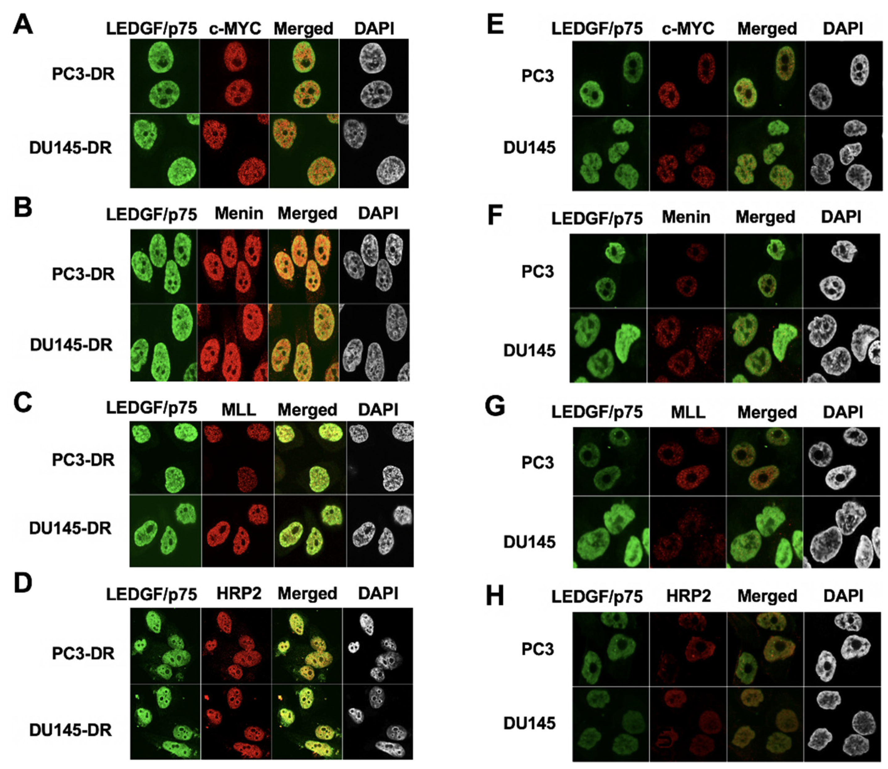 Cells 10 02723 g005 Cells 10 02723 g005