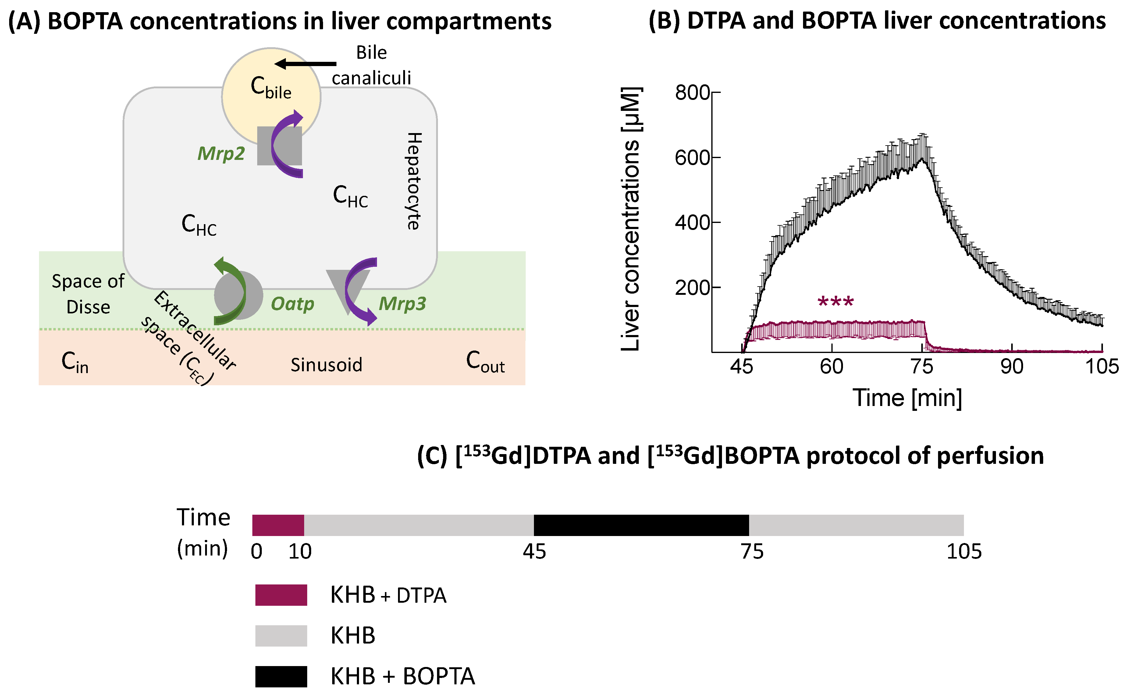 Cells 10 02733 g001 550