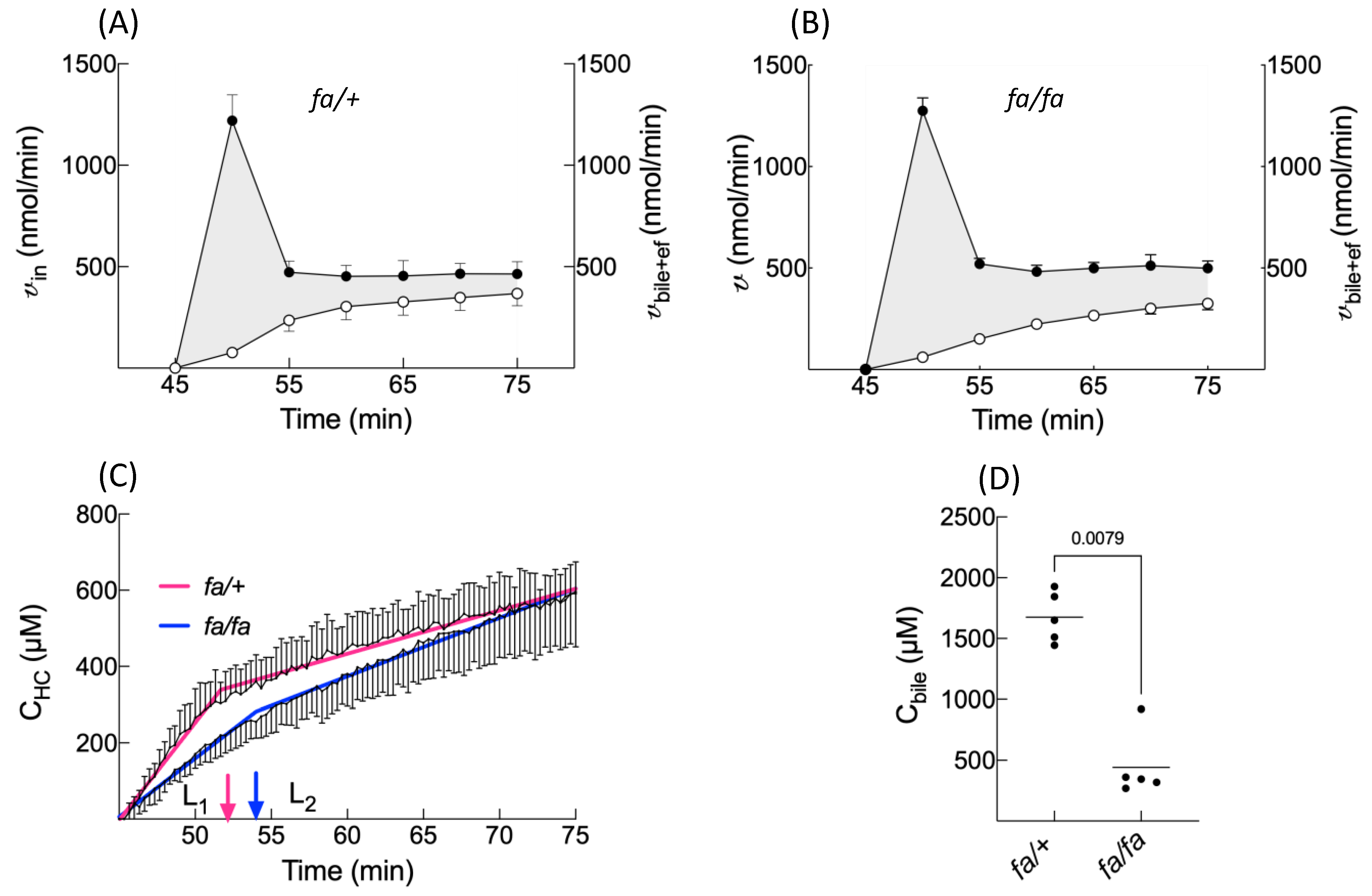 Cells 10 02733 g004 550