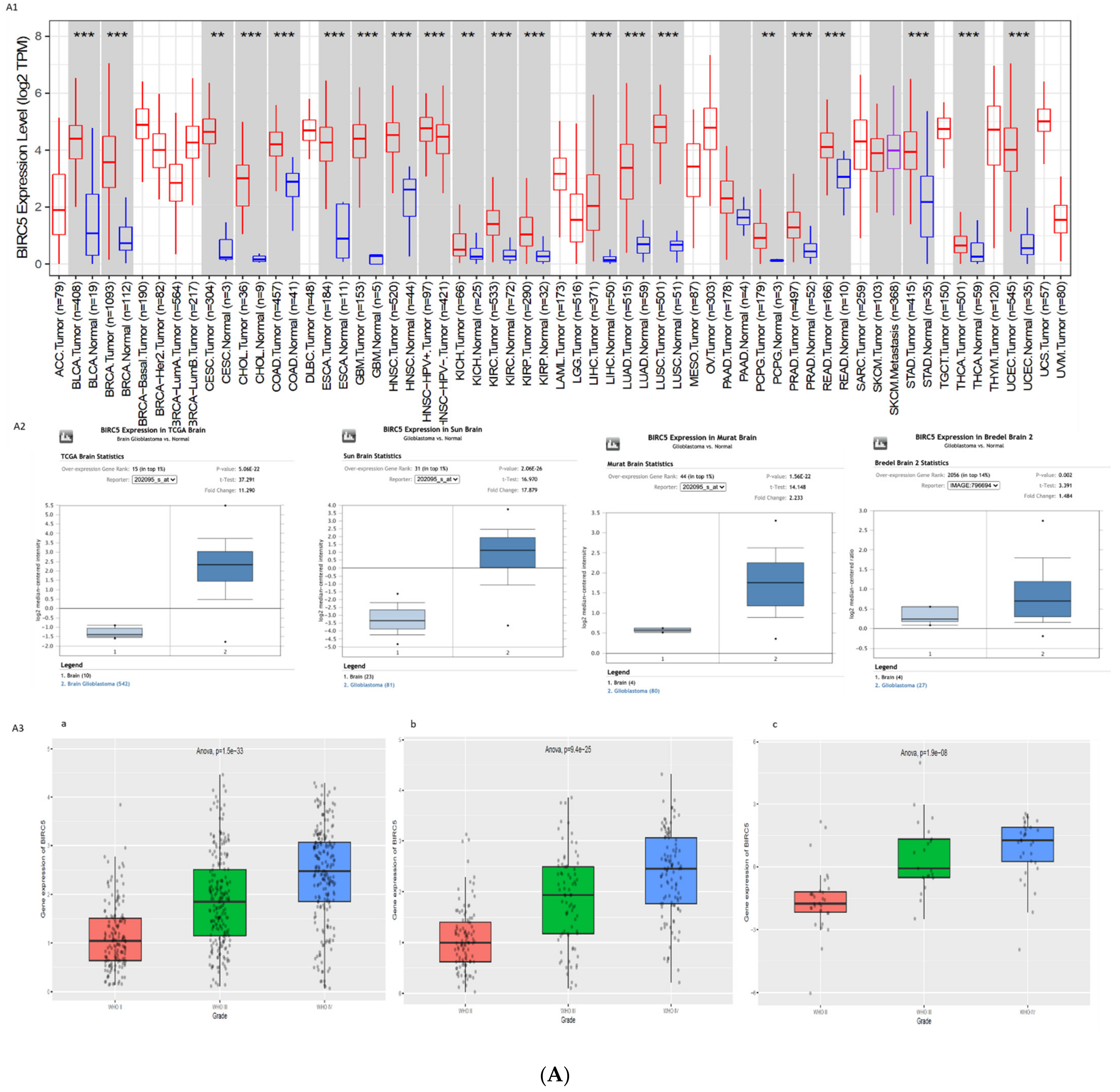 Cells 10 02765 g001a