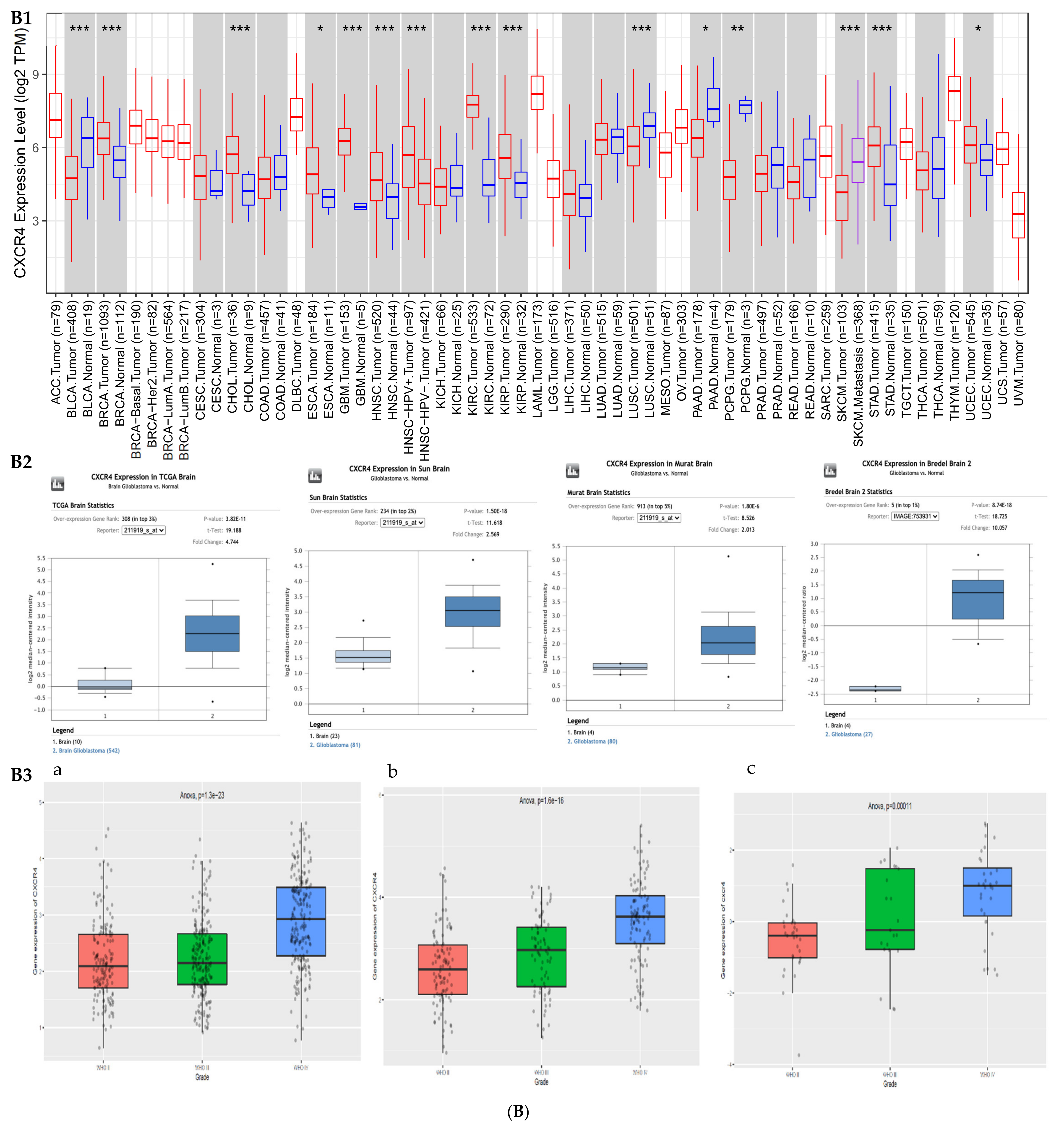 Cells 10 02765 g001b