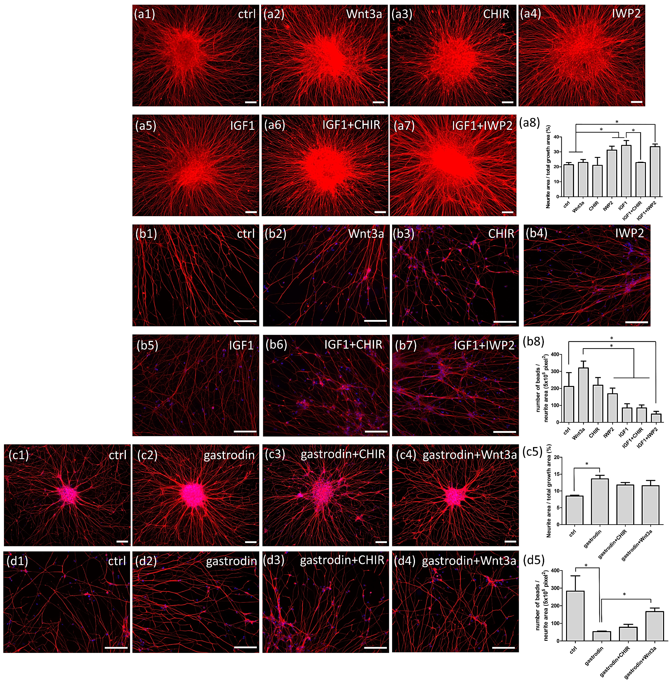 Cells 10 02773 g009